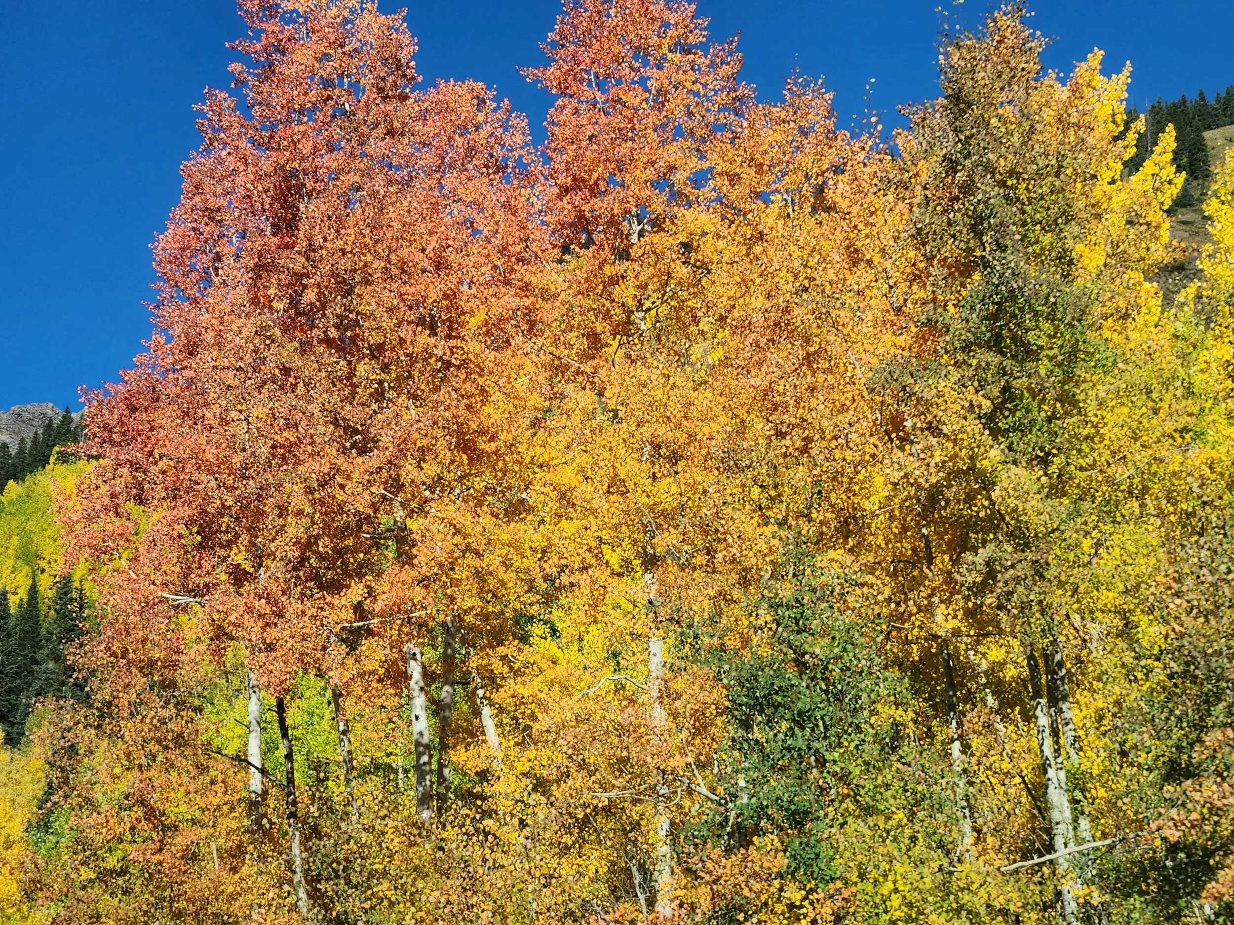 20220928_091844.jpg