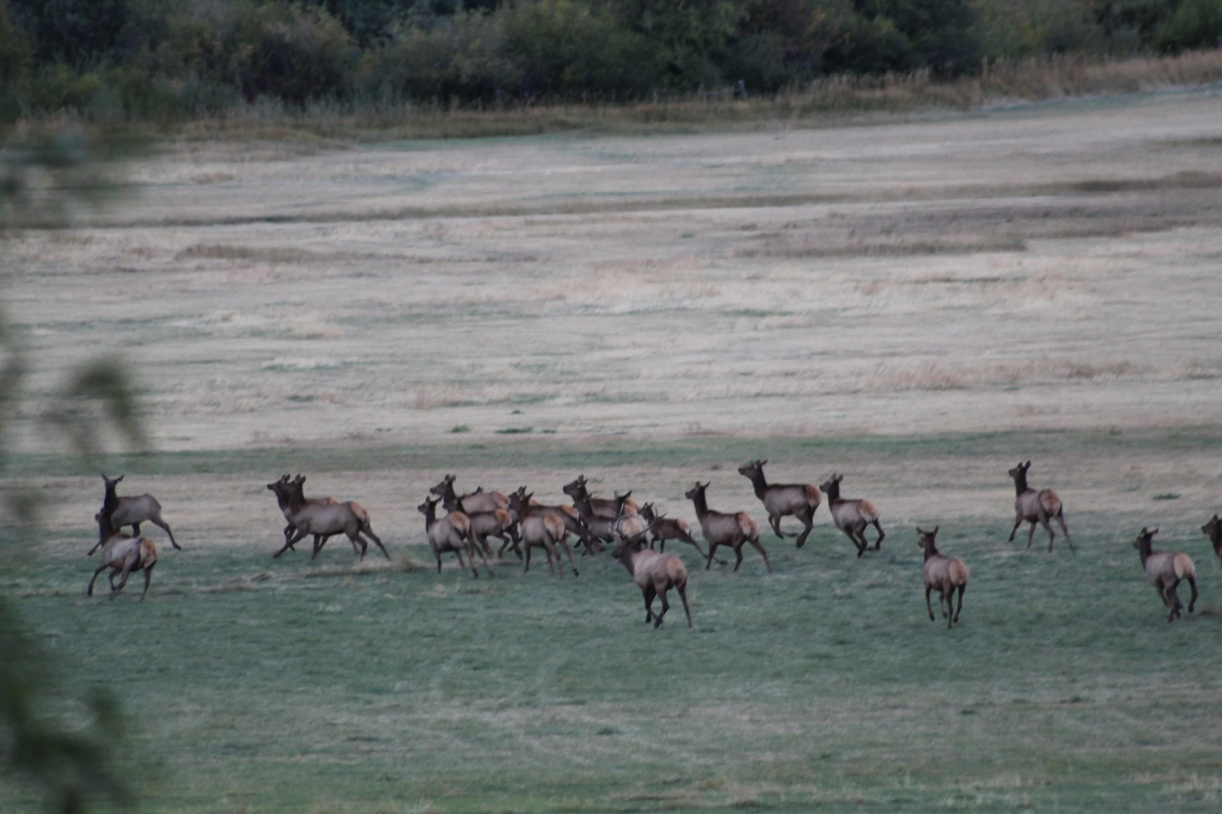 IMG_1824.JPG