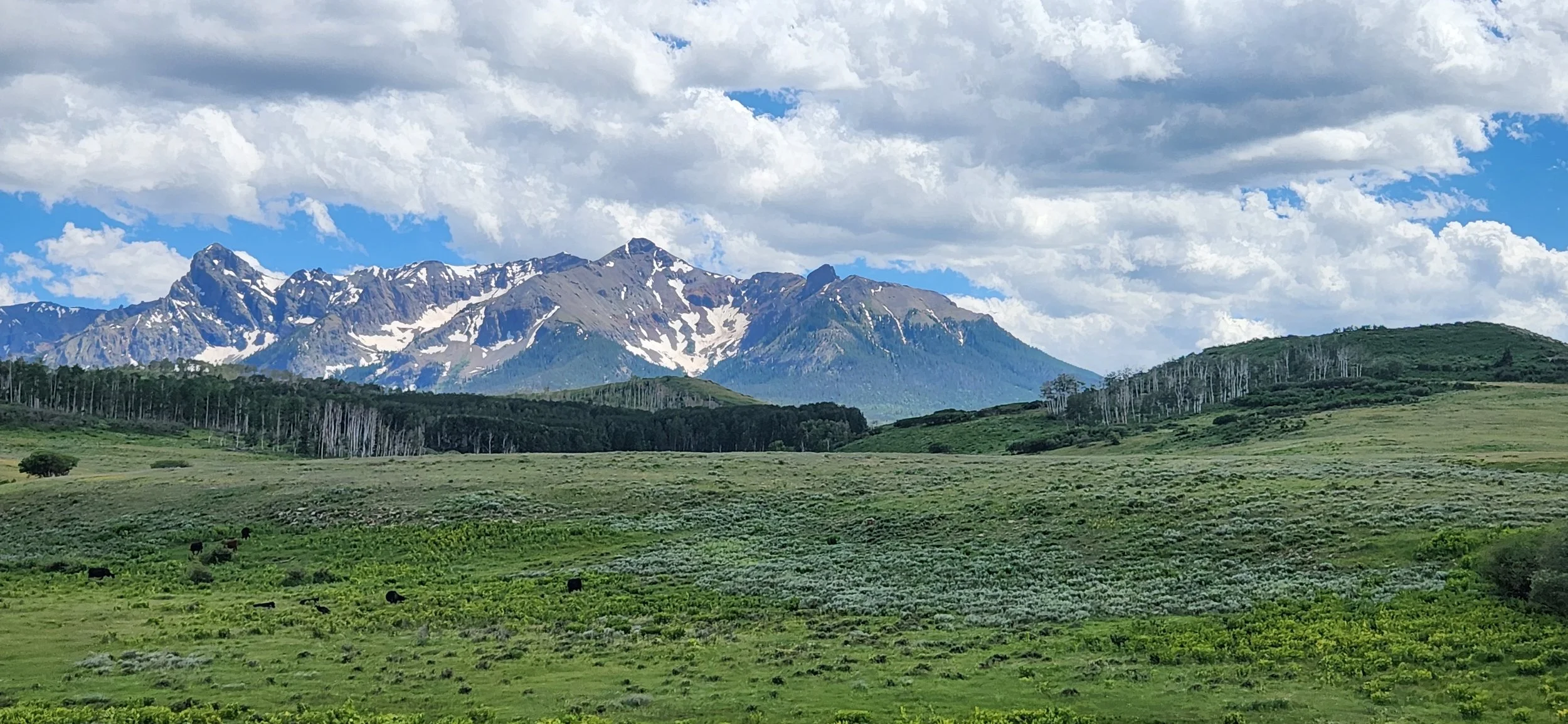 20230710_151343.jpg