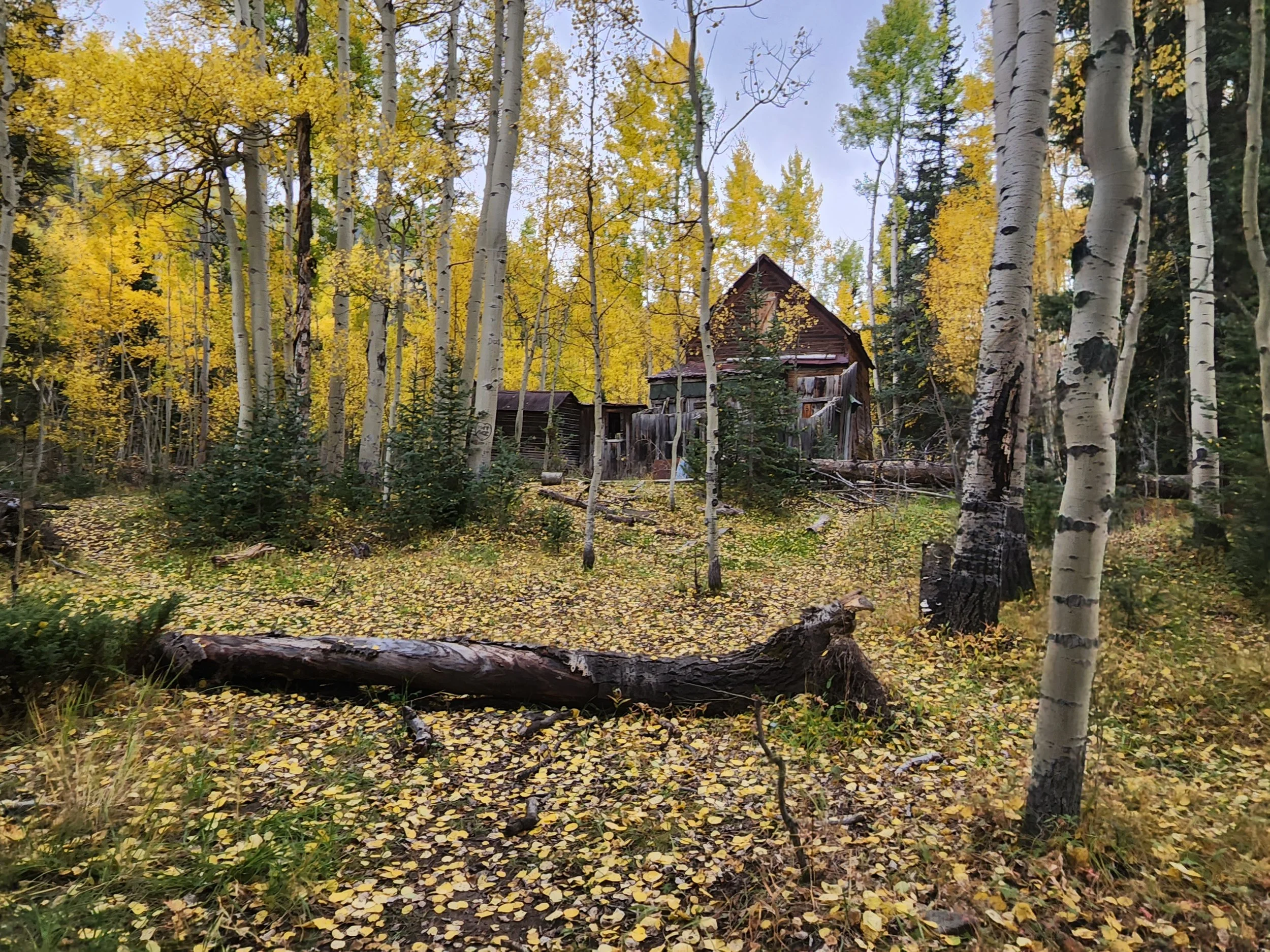 20220928_154825.jpg