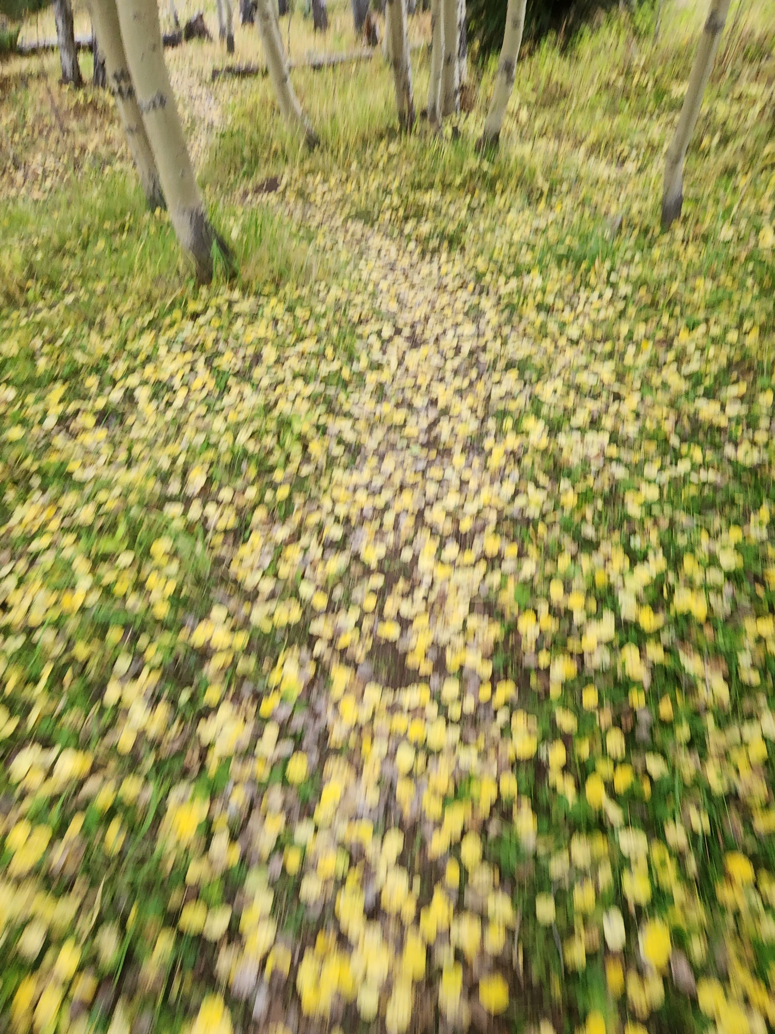 20220928_154802.jpg
