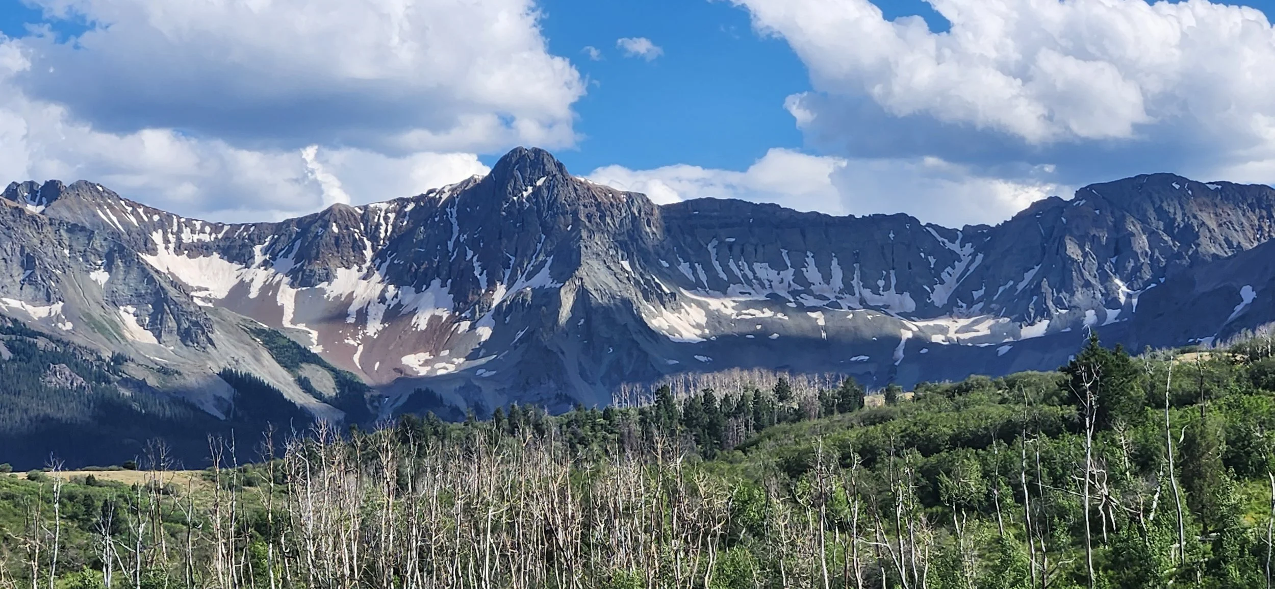 20230726_171358.jpg