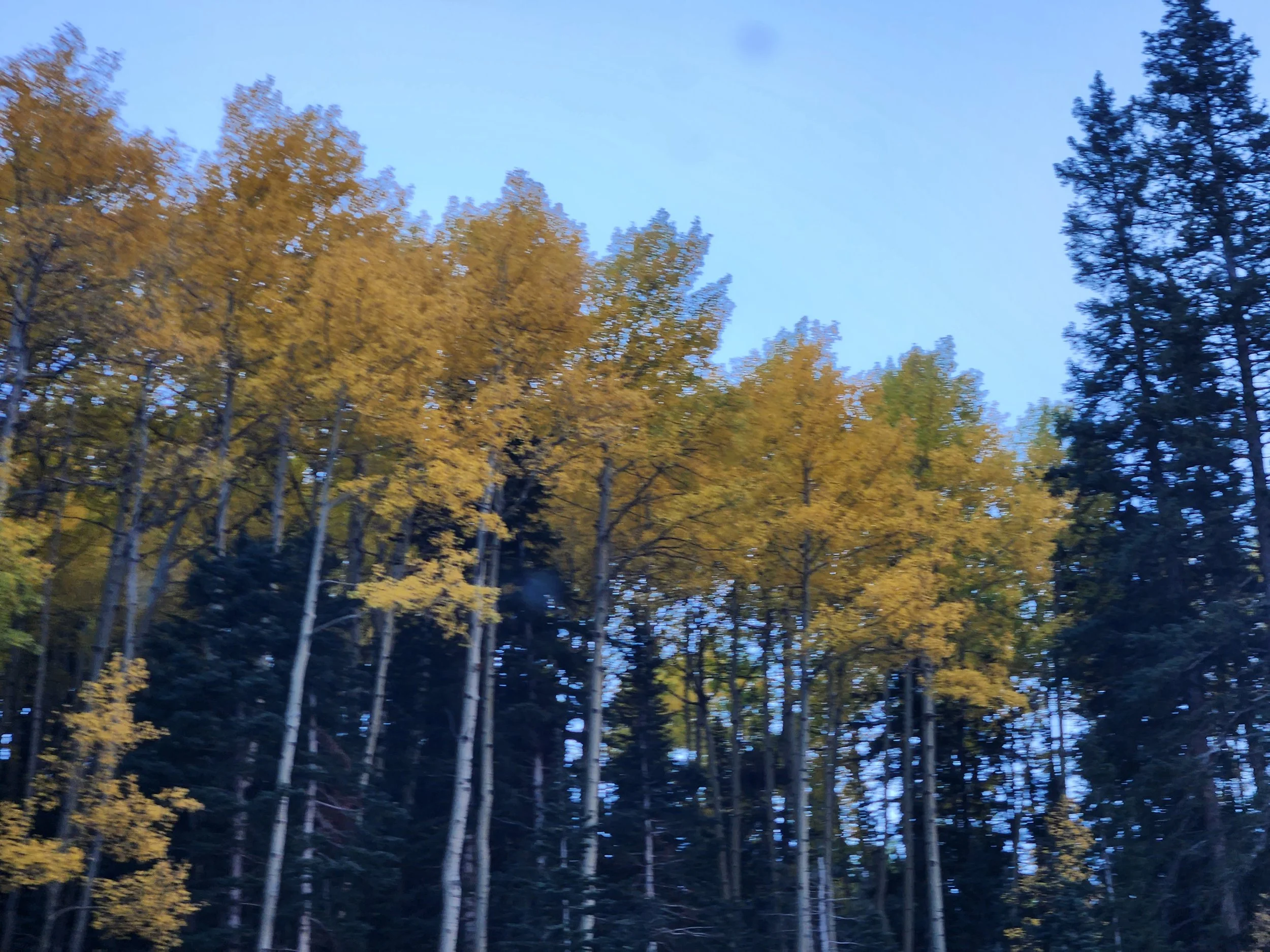 20220928_091146.jpg