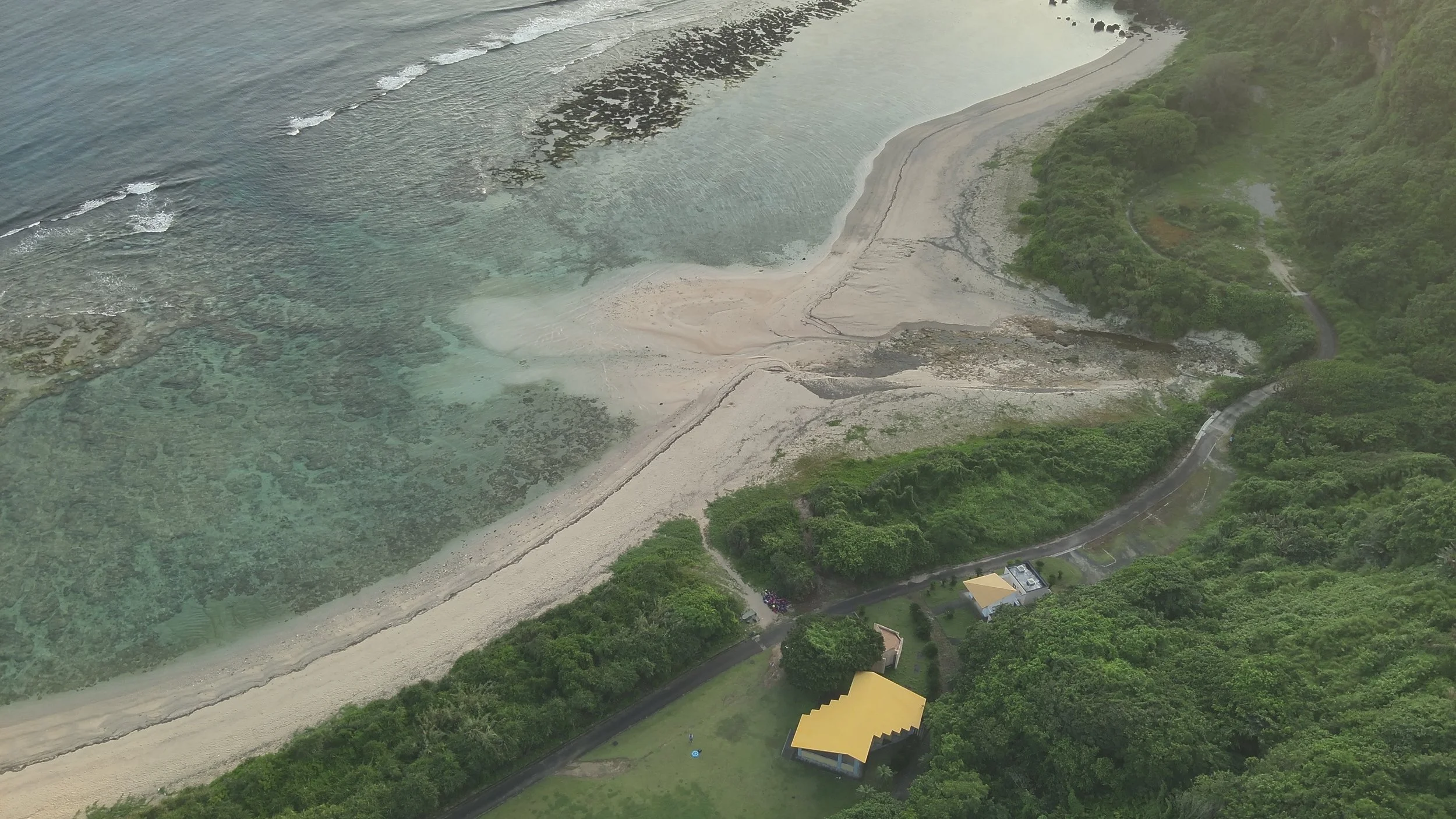 海岸線と緑豊かな森林、建物が見える風景の航空写真