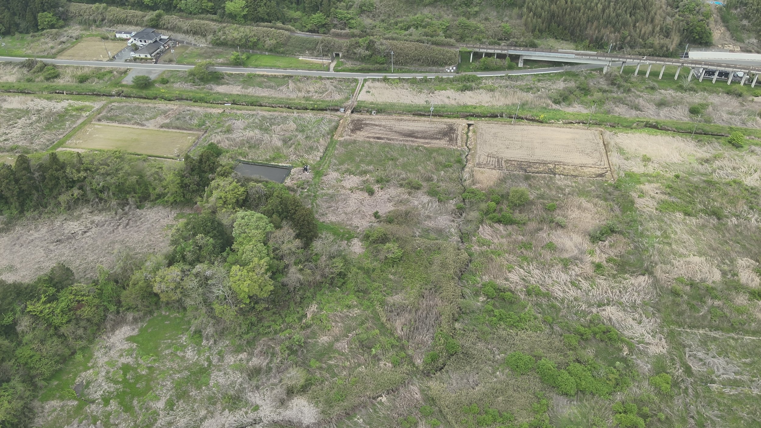 DJI_20260426101428_0003_V.JPG