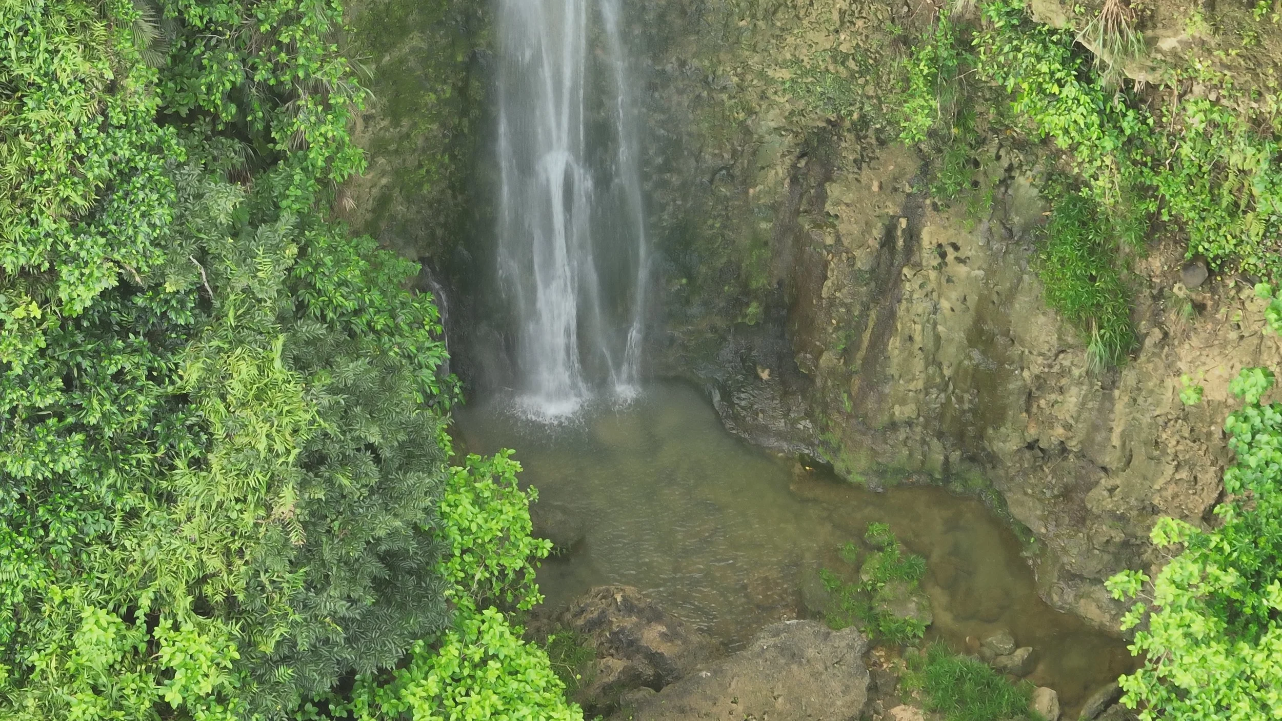 緑豊かな自然の中にある小さな滝と池の風景