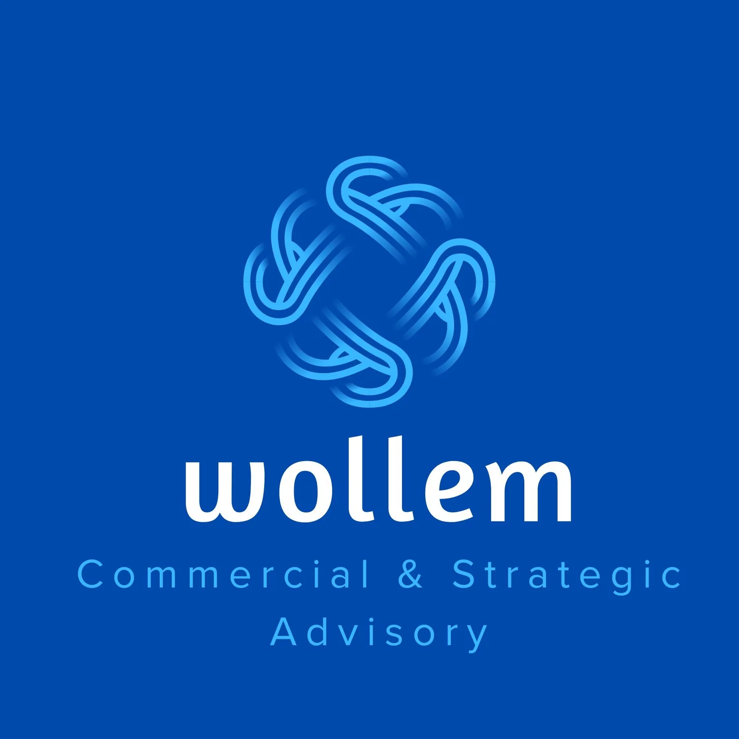 Wollem Commercial &amp; Strategic Advisory