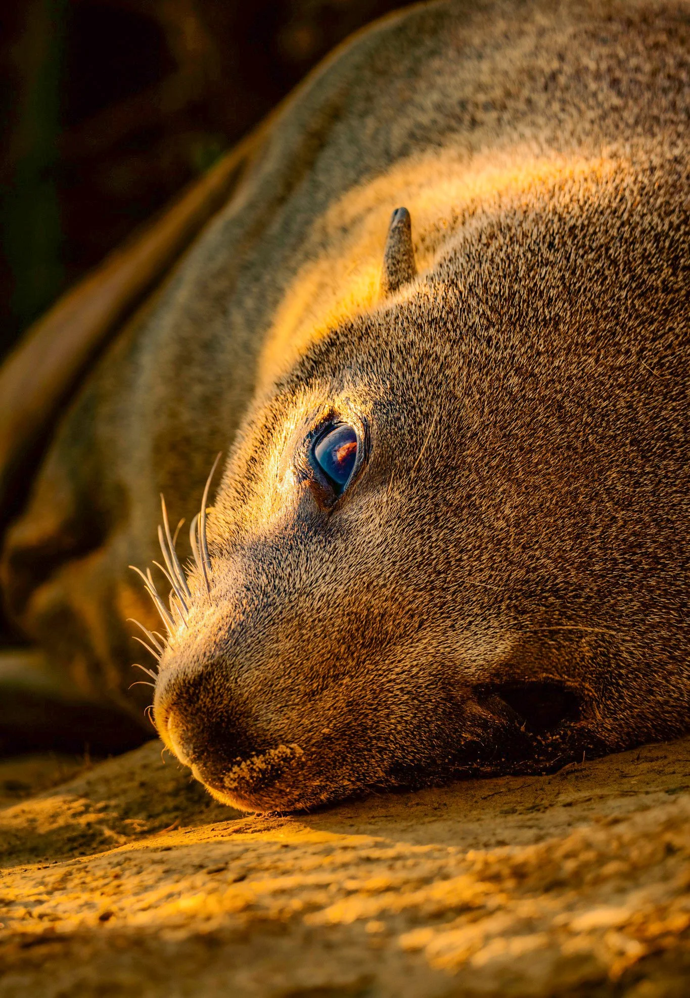 Gore Bay March-194.jpg