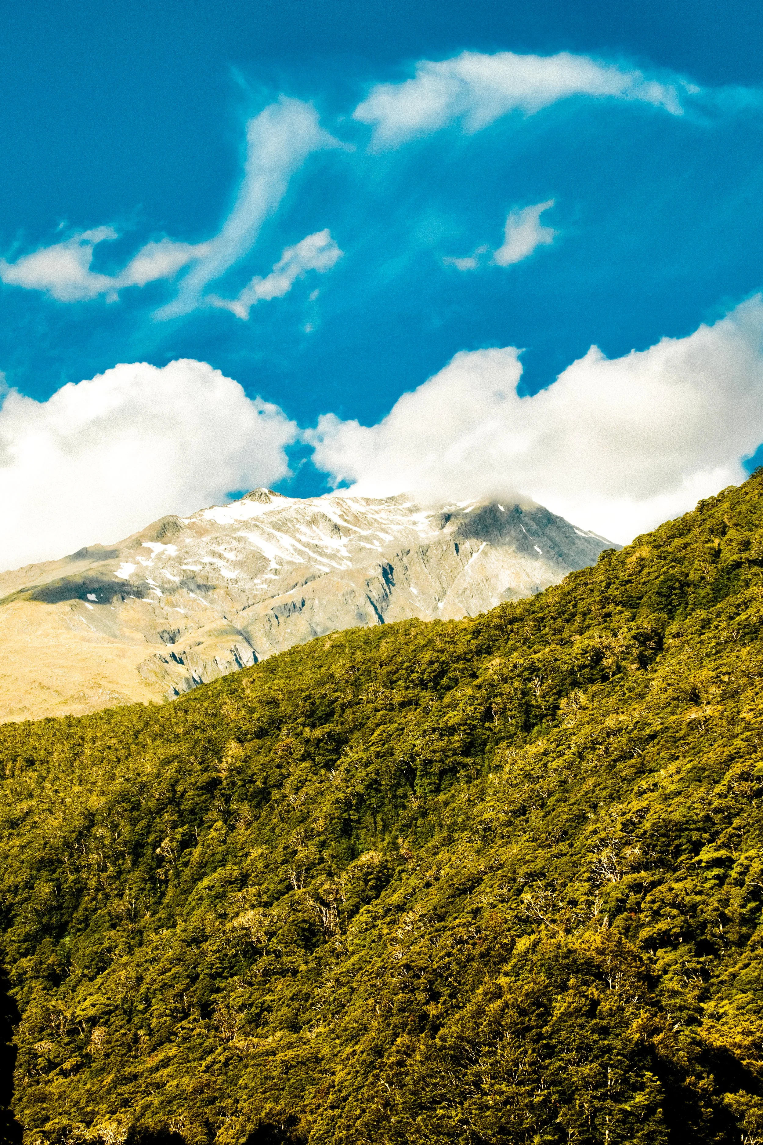 Land of the long white cloud