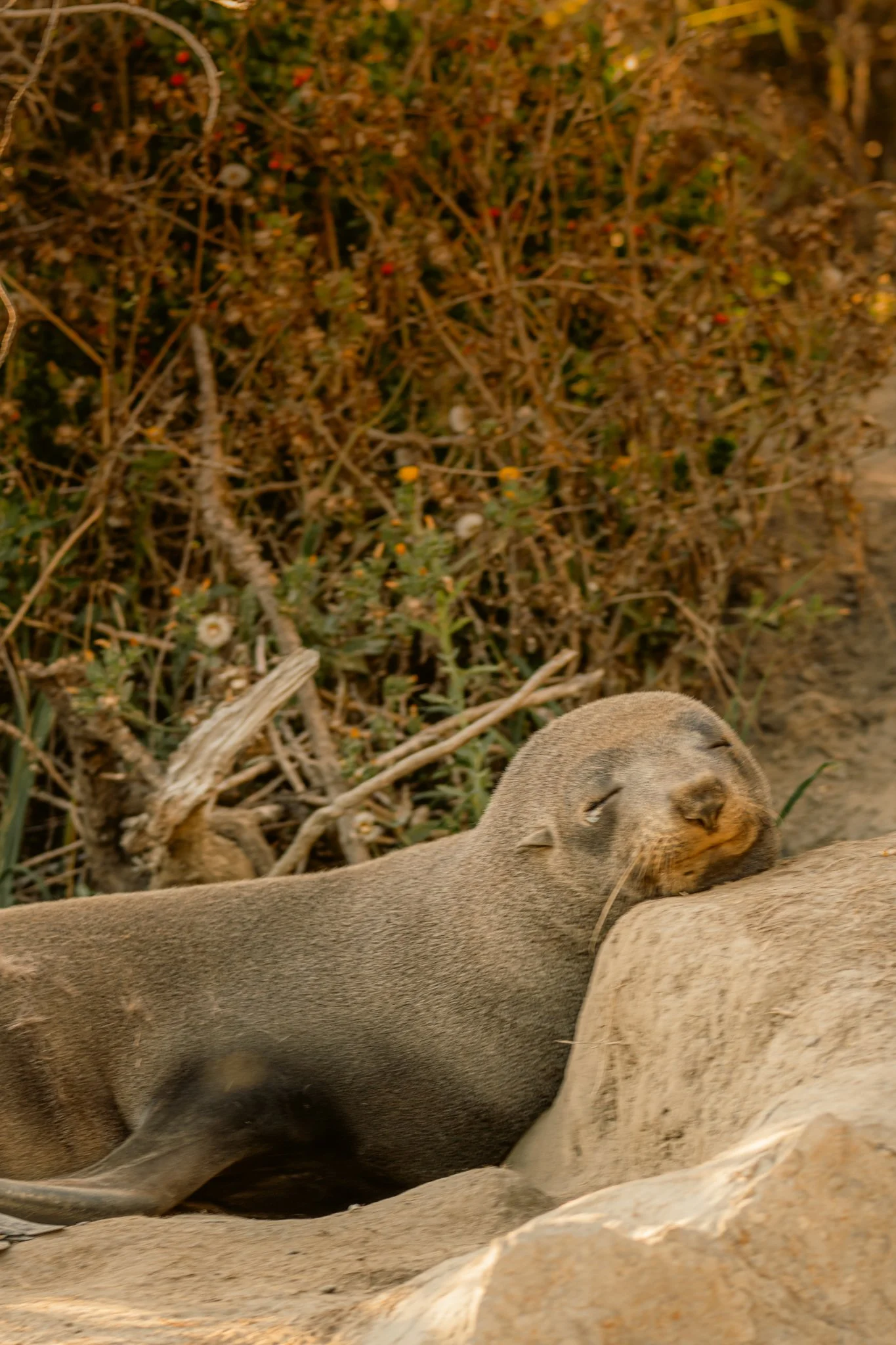 Gore Bay March-198.jpg
