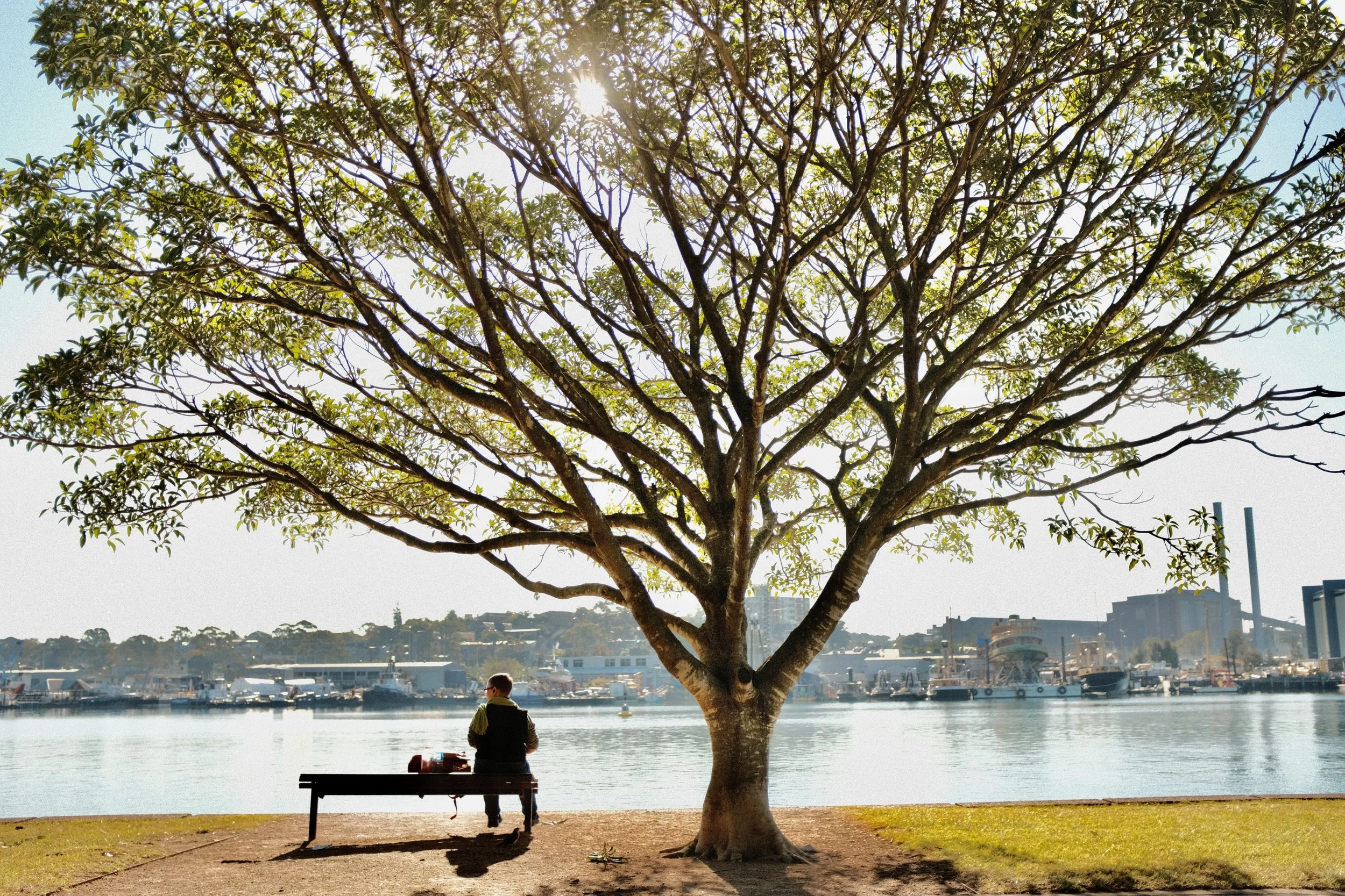 Underneath the tree of growth & prosperity. 