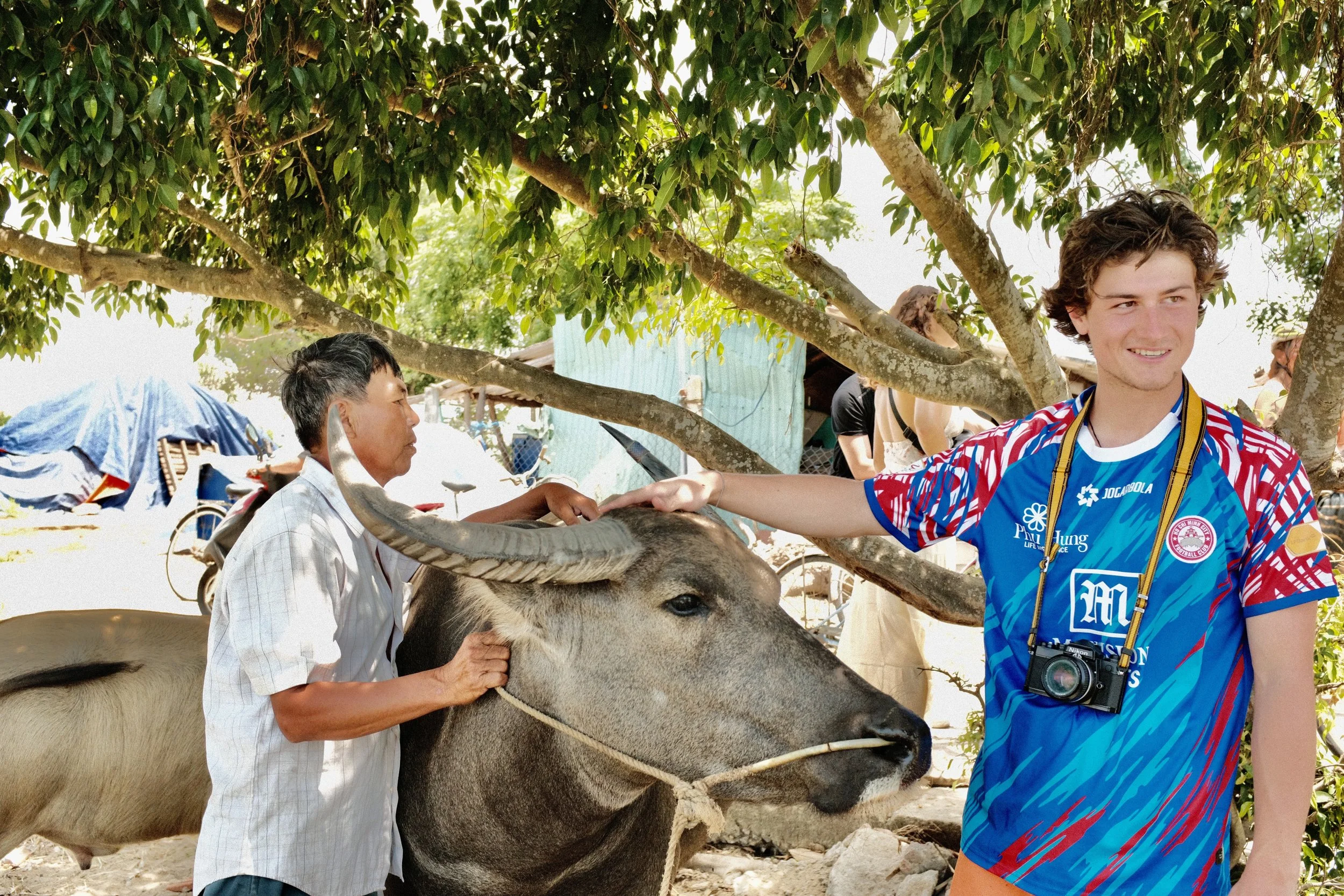 George tames Water Buffalo