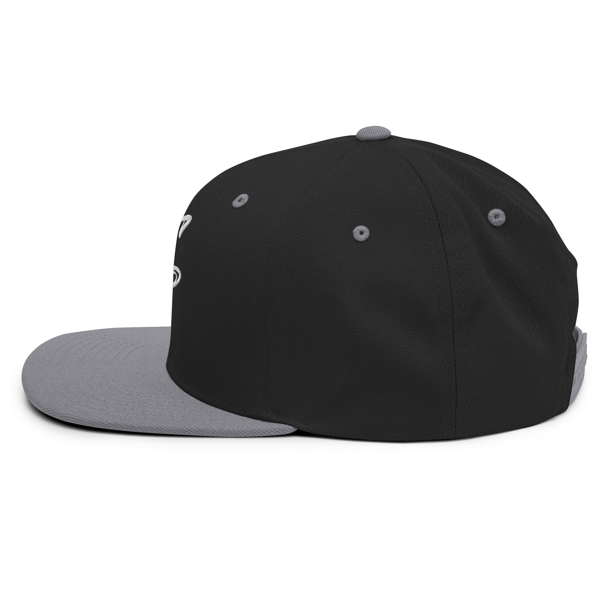 classic-snapback-black-silver-left-side-69efe7fc1616d.png
