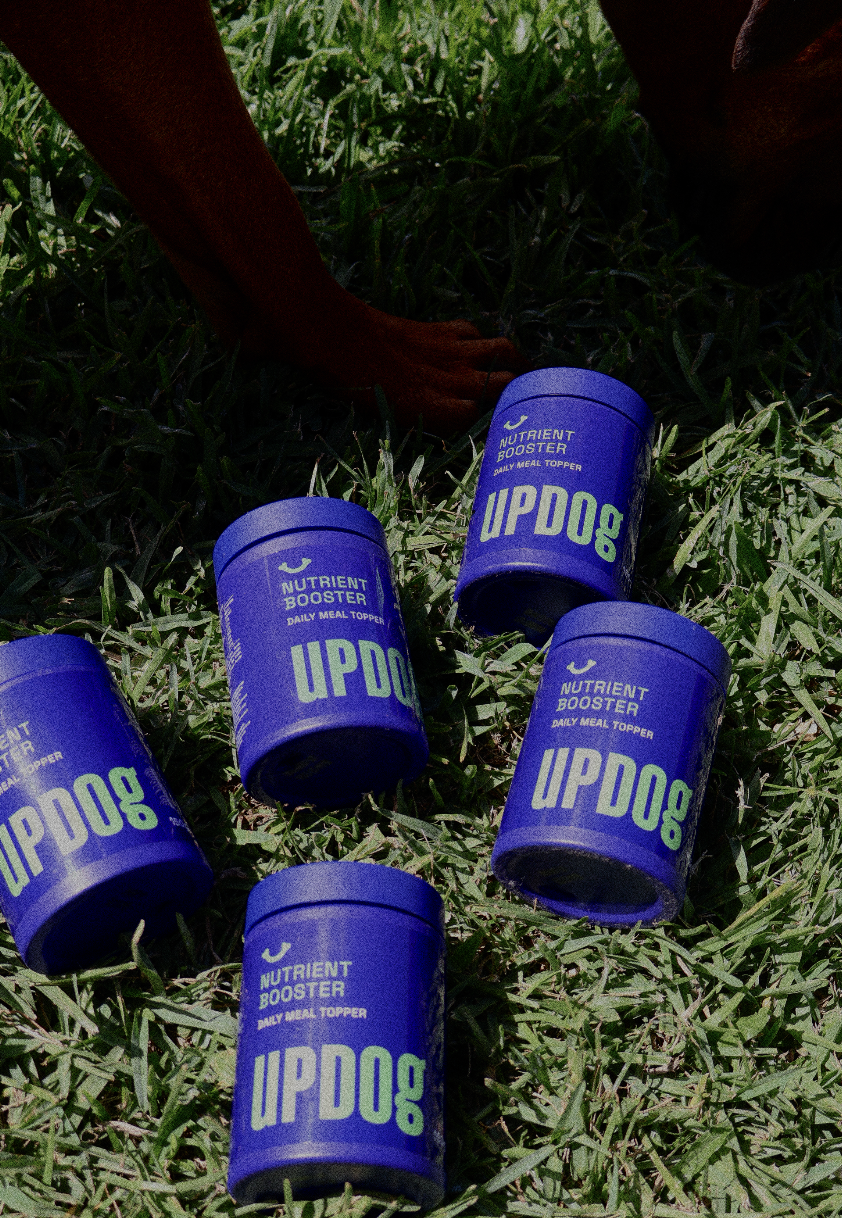 Five blue containers labeled "Nutrient Booster Daily Meal Topper UPDOG" are lying on green grass, with a person's arm and part of their leg visible in the background.