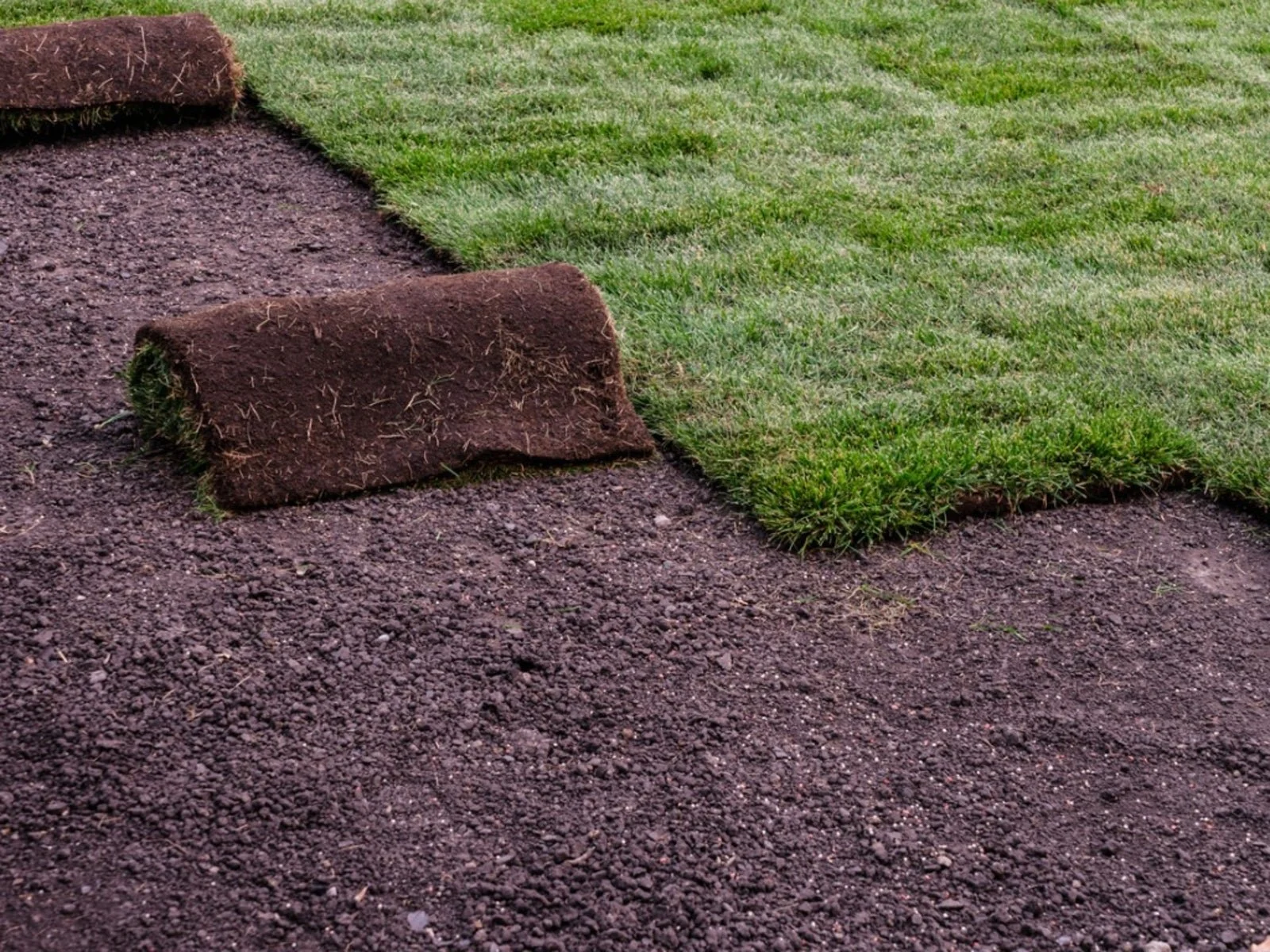 Installing sod, a new lawn.