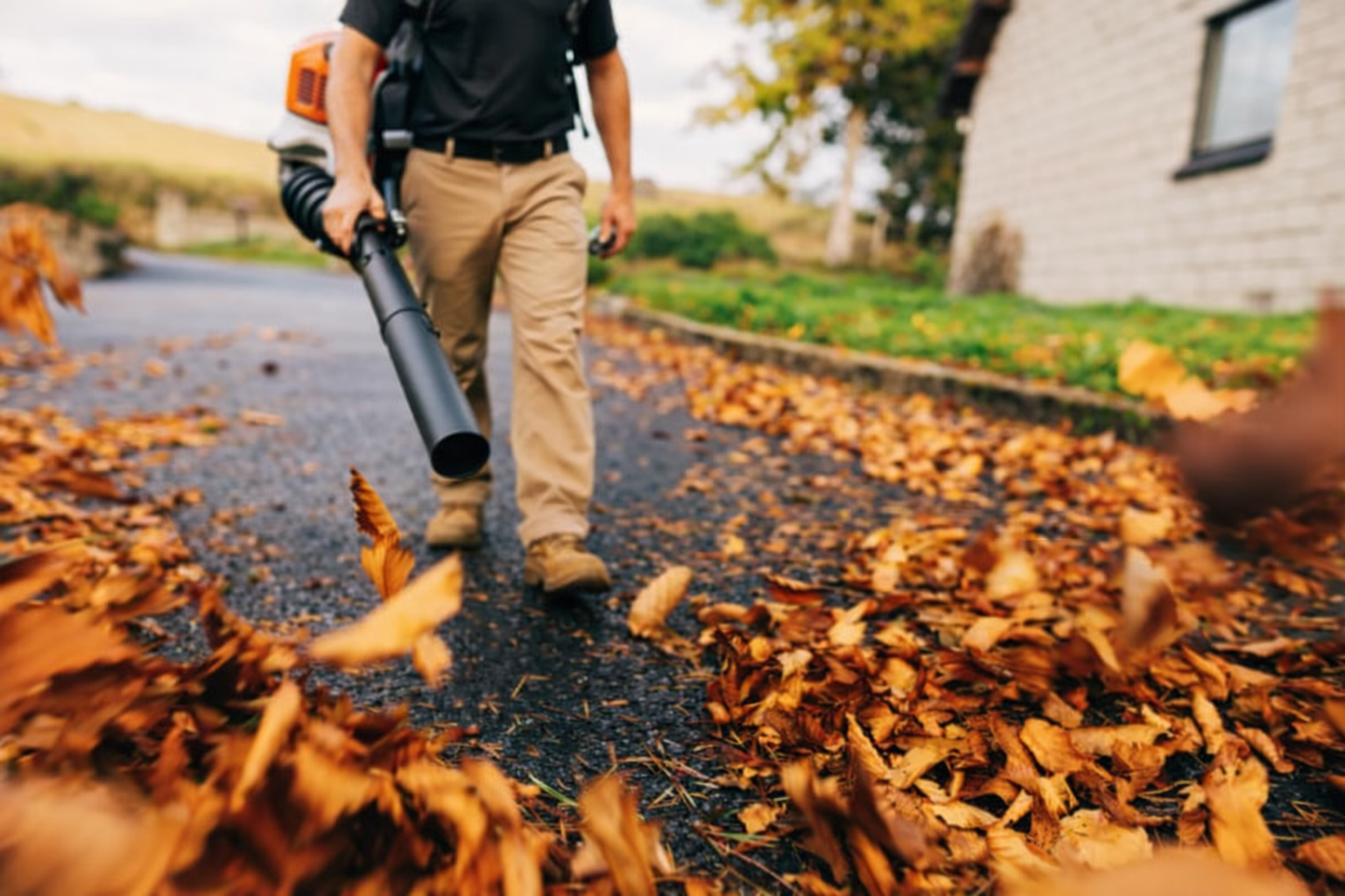 Yard clean up, lawn design services in Fort Wayne, IN