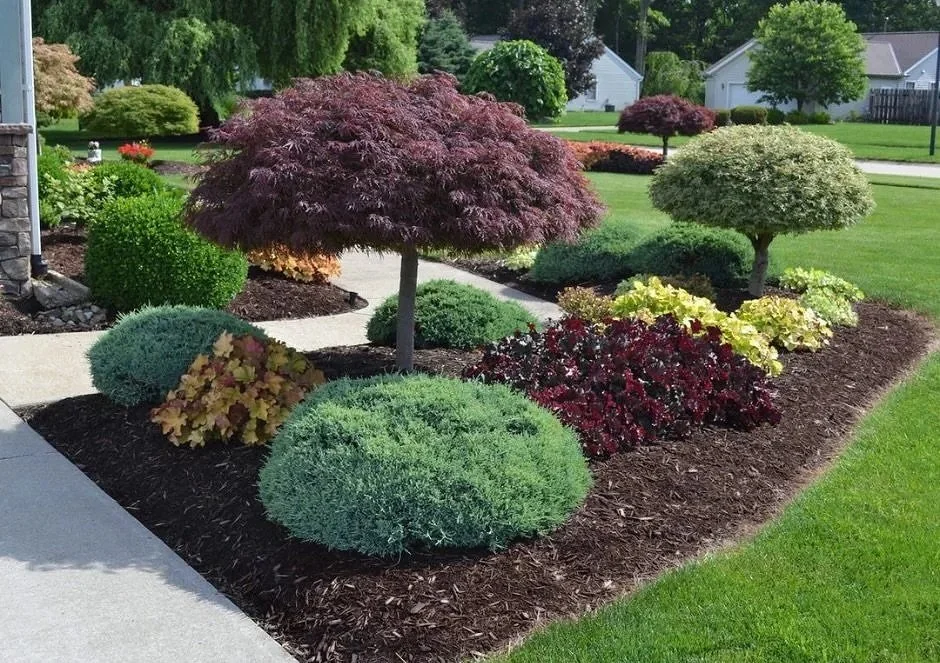 landscaping plants and mulching services in Fort Wayne, IN