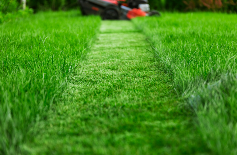 lawn care