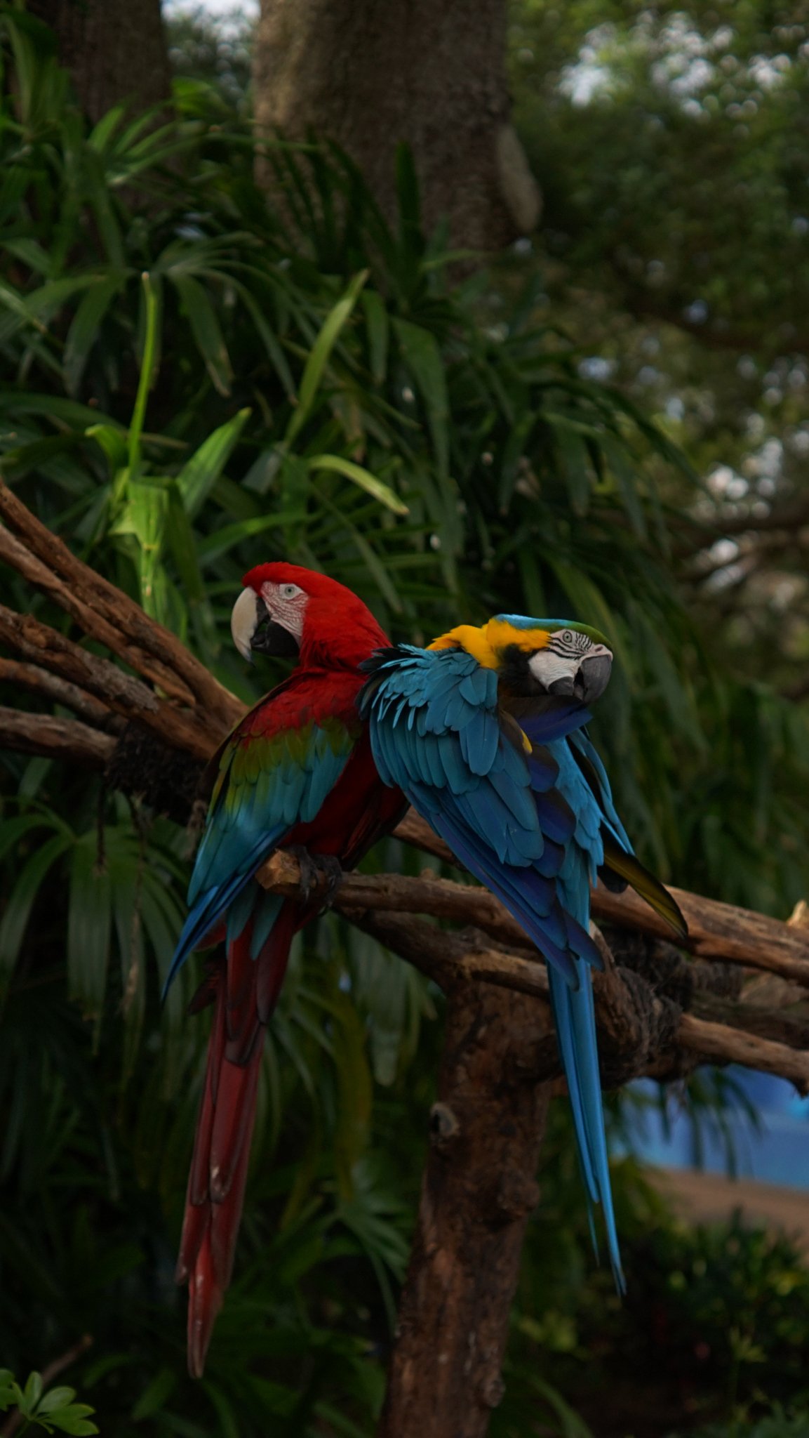 DSC01797.jpg