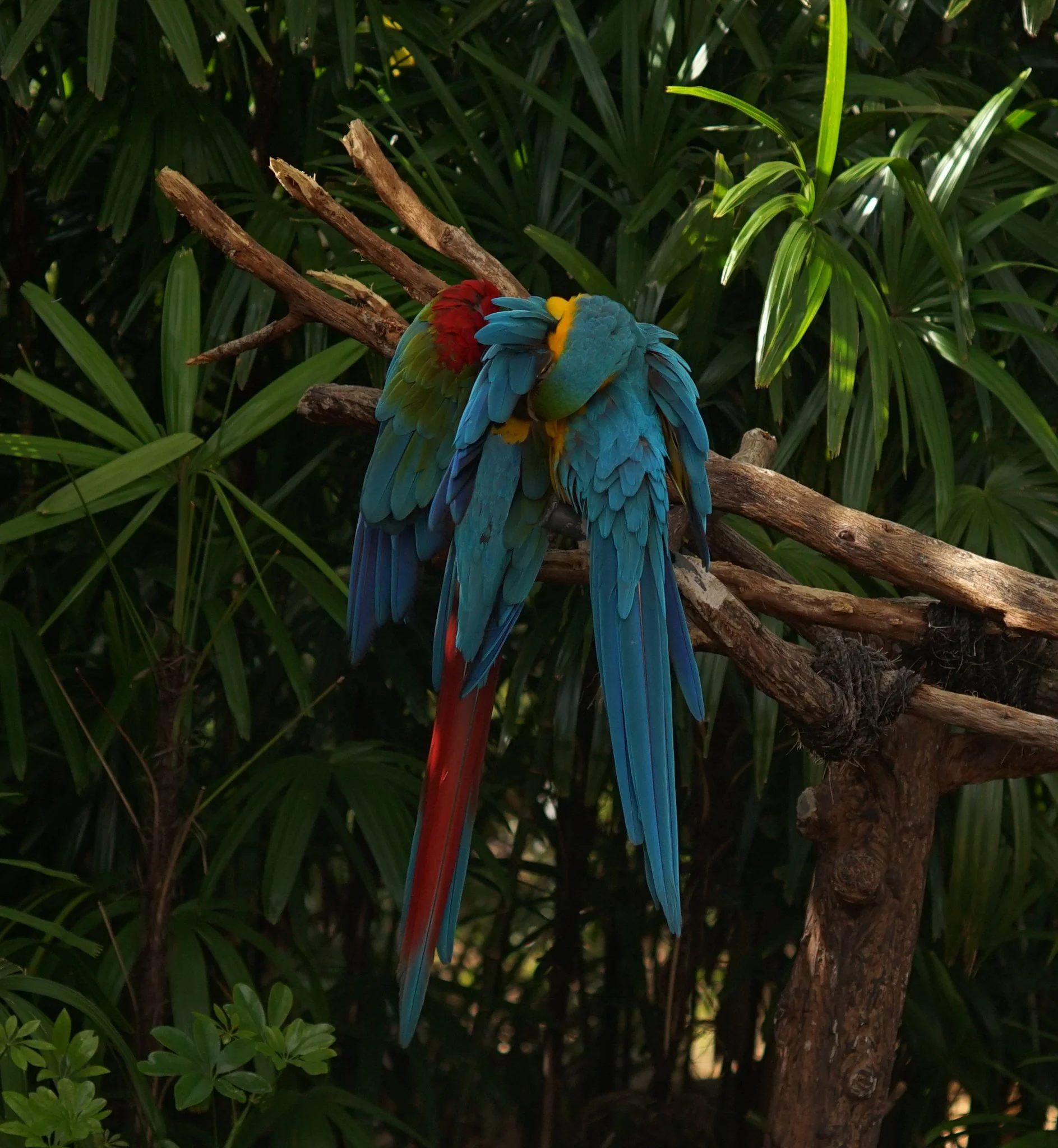 DSC01792.jpg