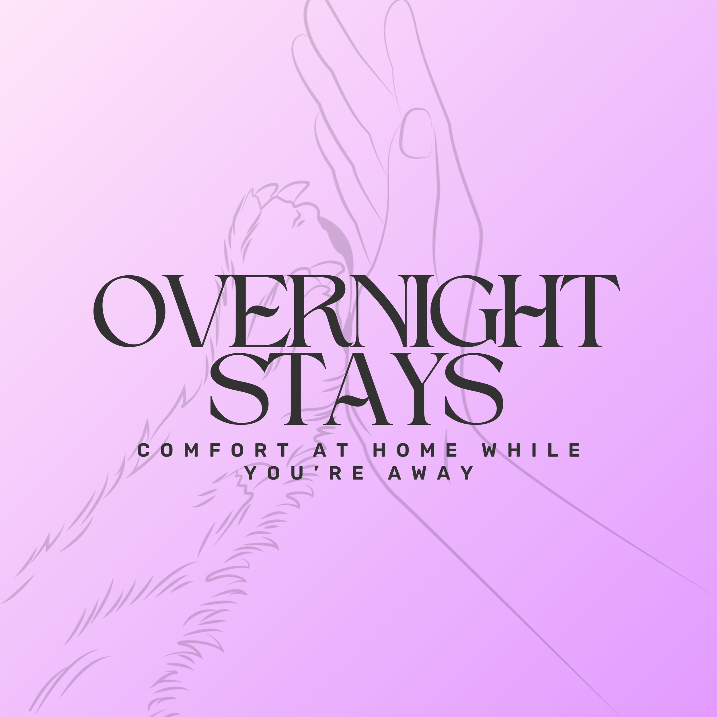 Overnight Stays