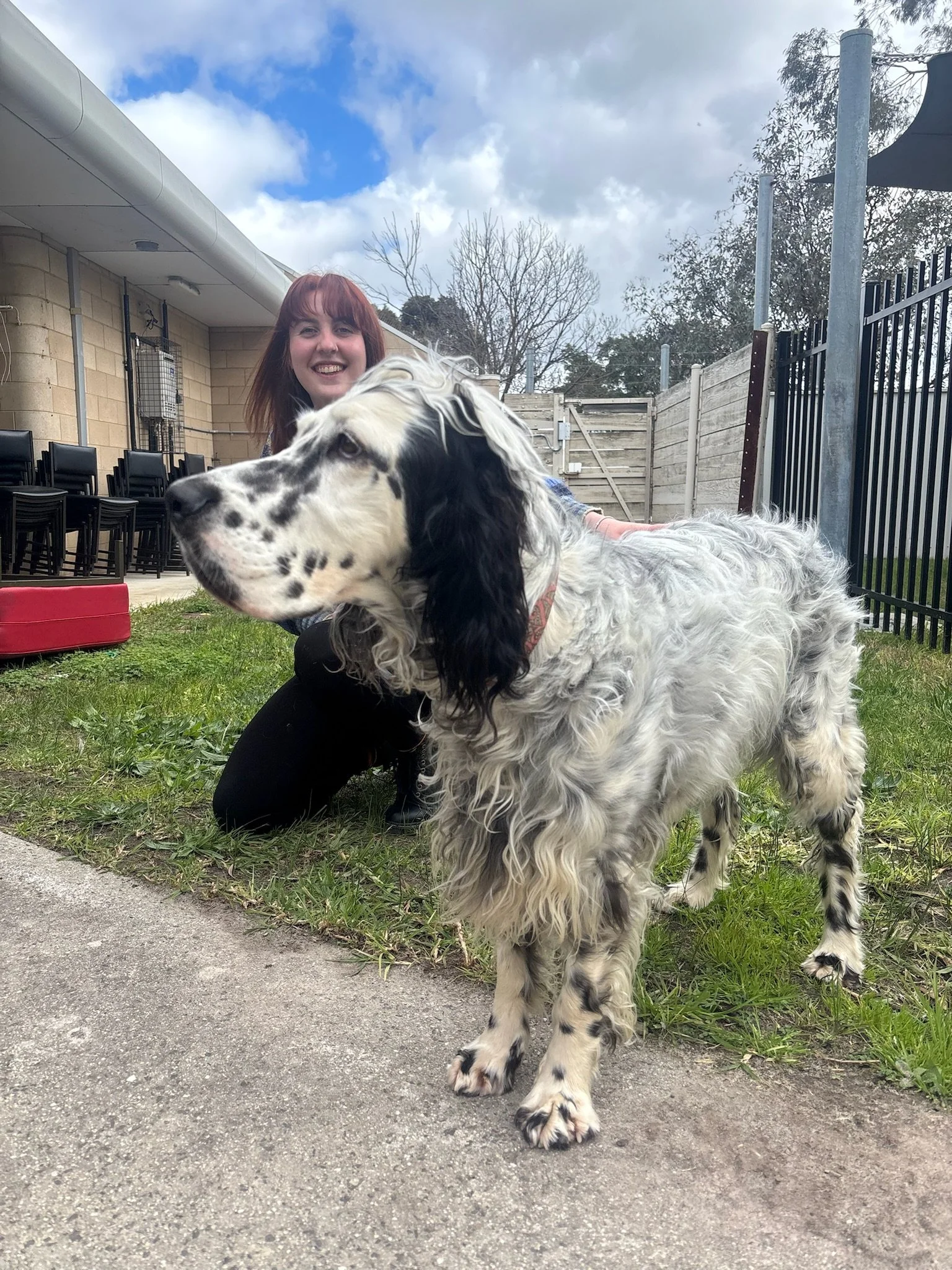 A woman with red hair smiling while kneeling on grass behind a black and white dog with long fur. They are outdoors in a backyard with a fence, trees, and chairs, on a partly cloudy day.