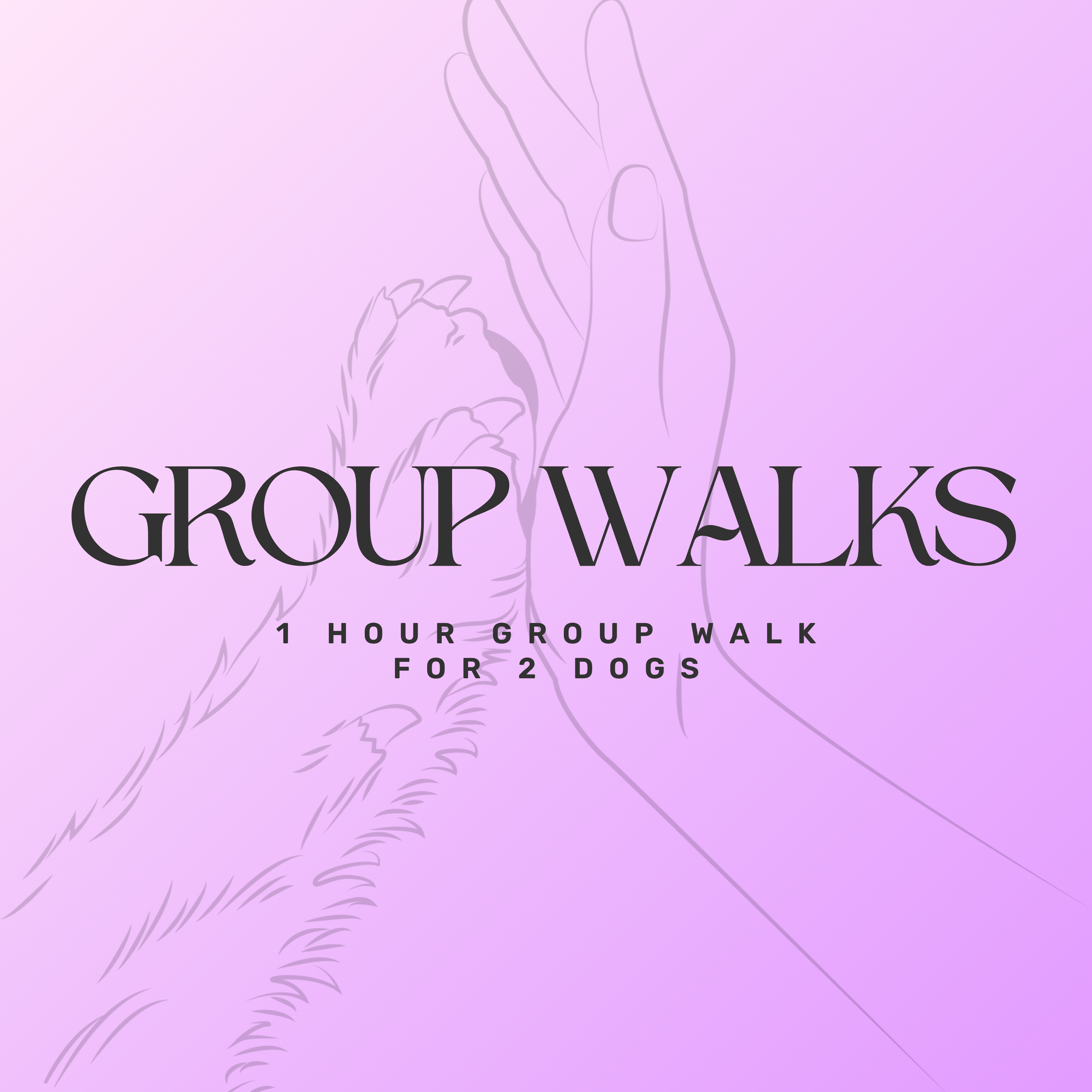Group Walk for 2 Dogs (Great Value)