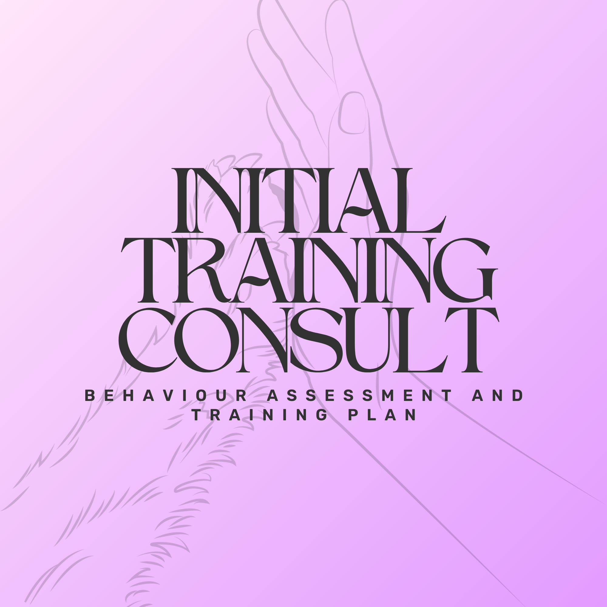 Initial Training Consultation