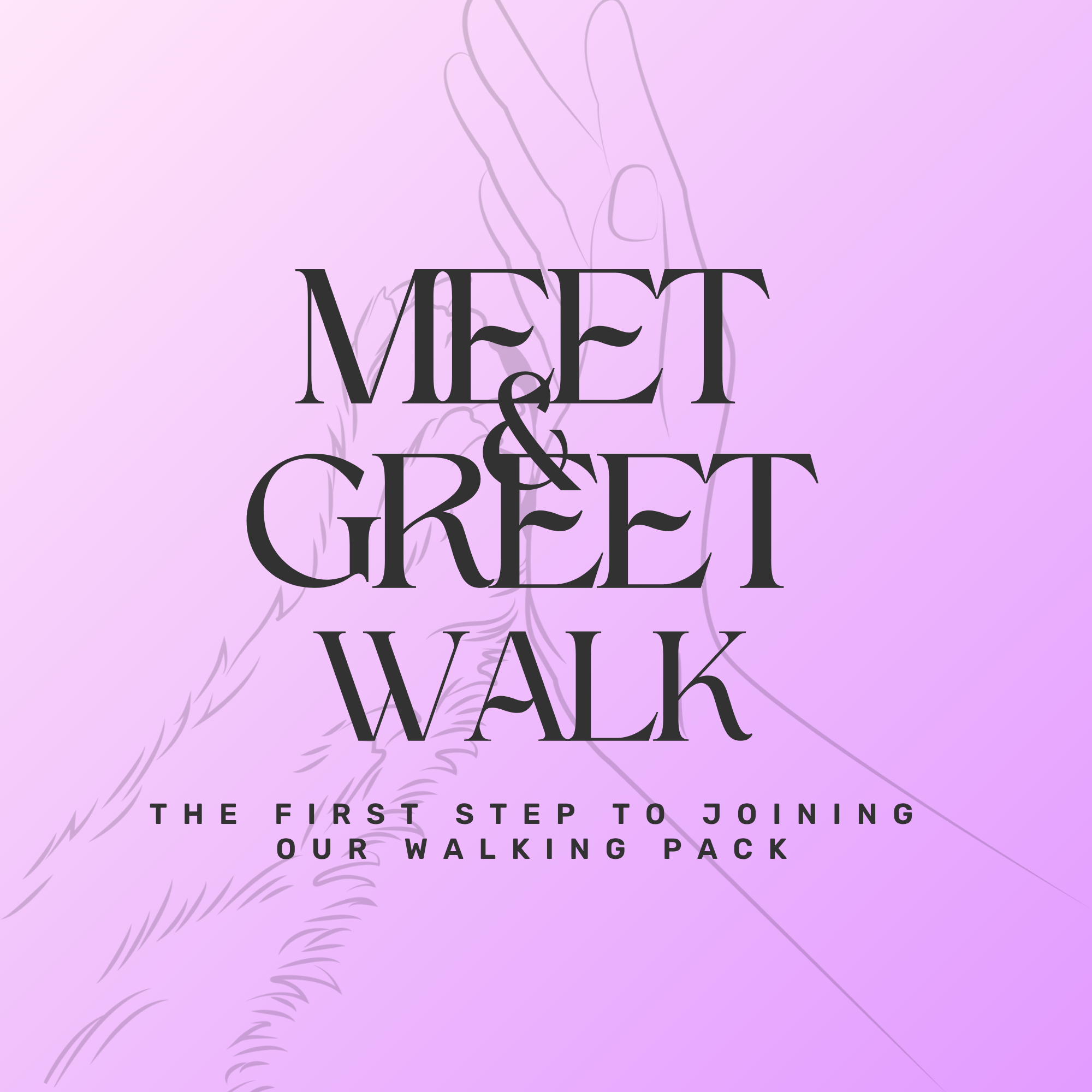 Happy Dog Fun illustration Logo (18).png