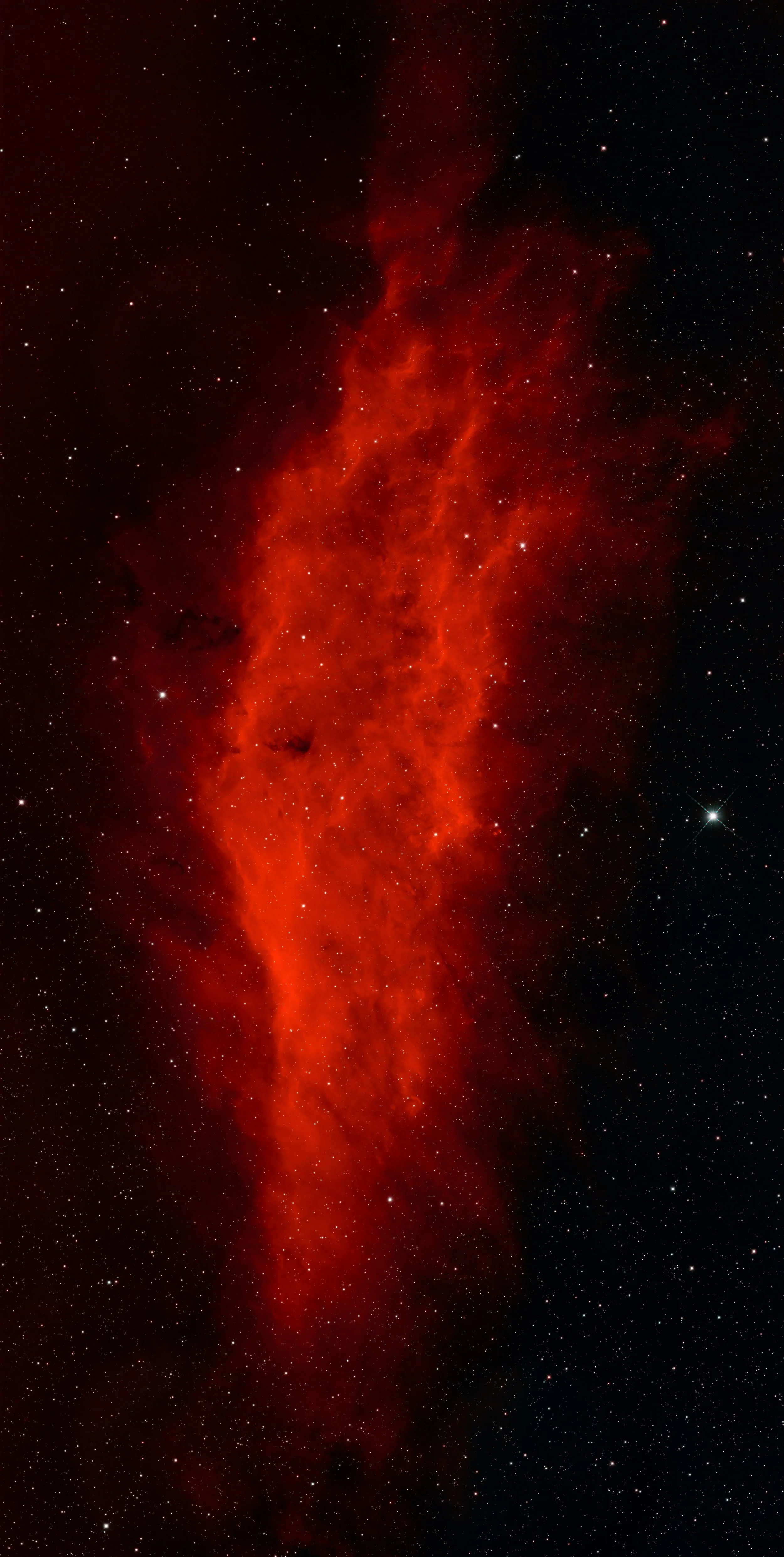 California Nebula Metal Print