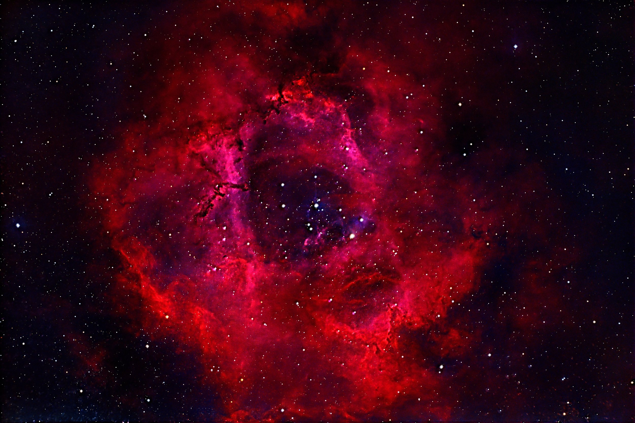 Rosette Nebula (NGC 2237)