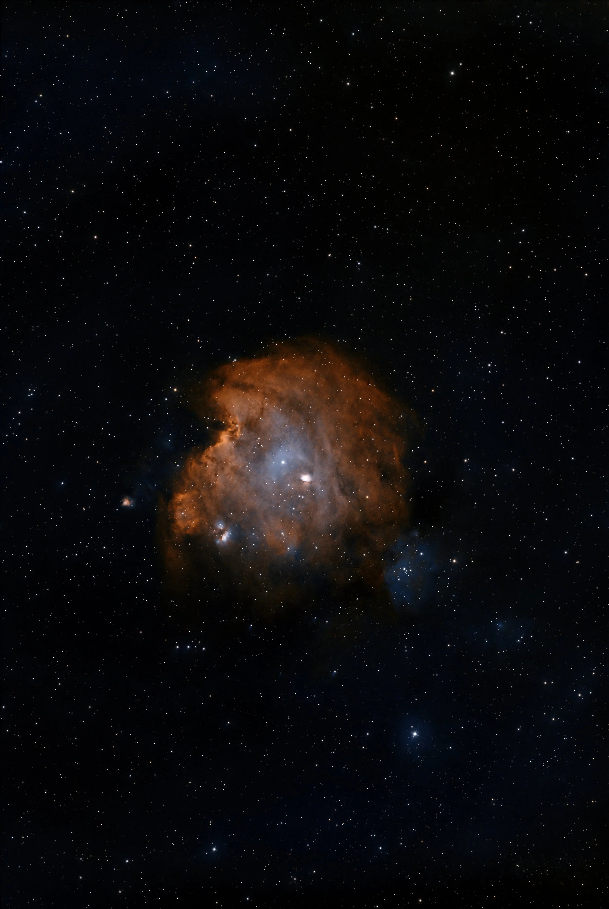 Monkey Head Nebula Metal Print