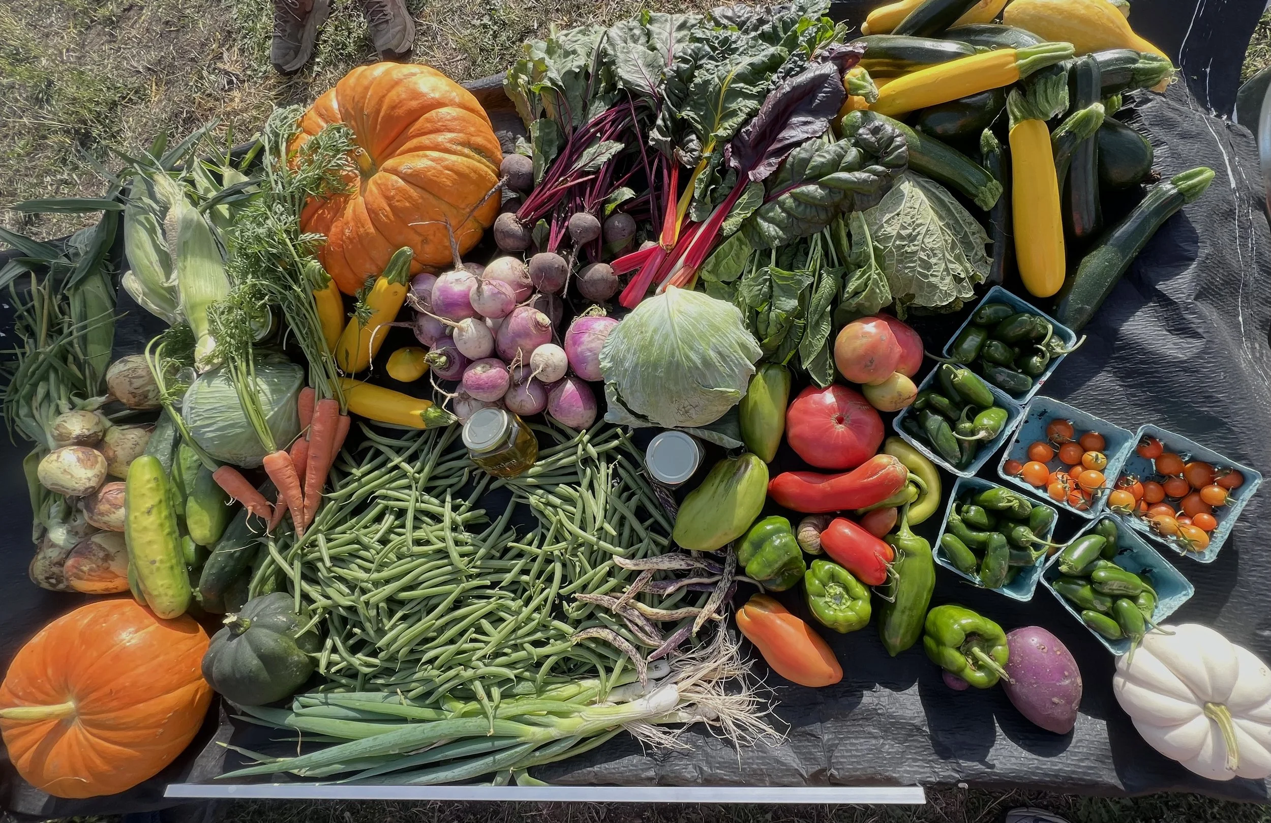 photo of local farm in season produce