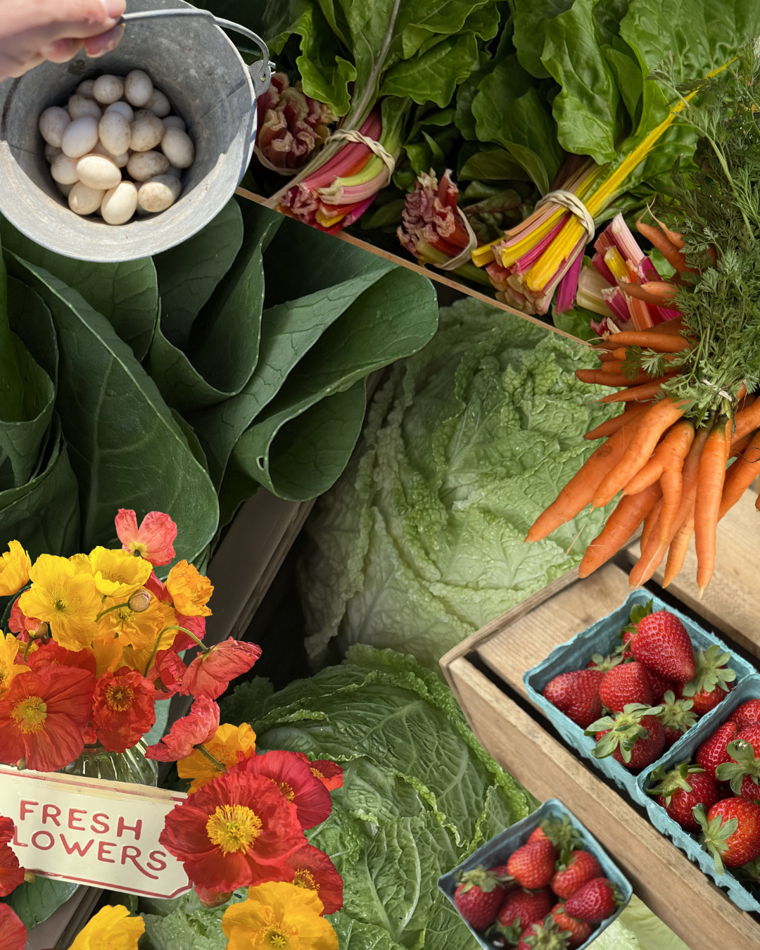 Fresh seasonal produce from a local farmers market including strawberries, carrots, leafy greens, rainbow chard, and poppies captured by Hello Holistic Studio.