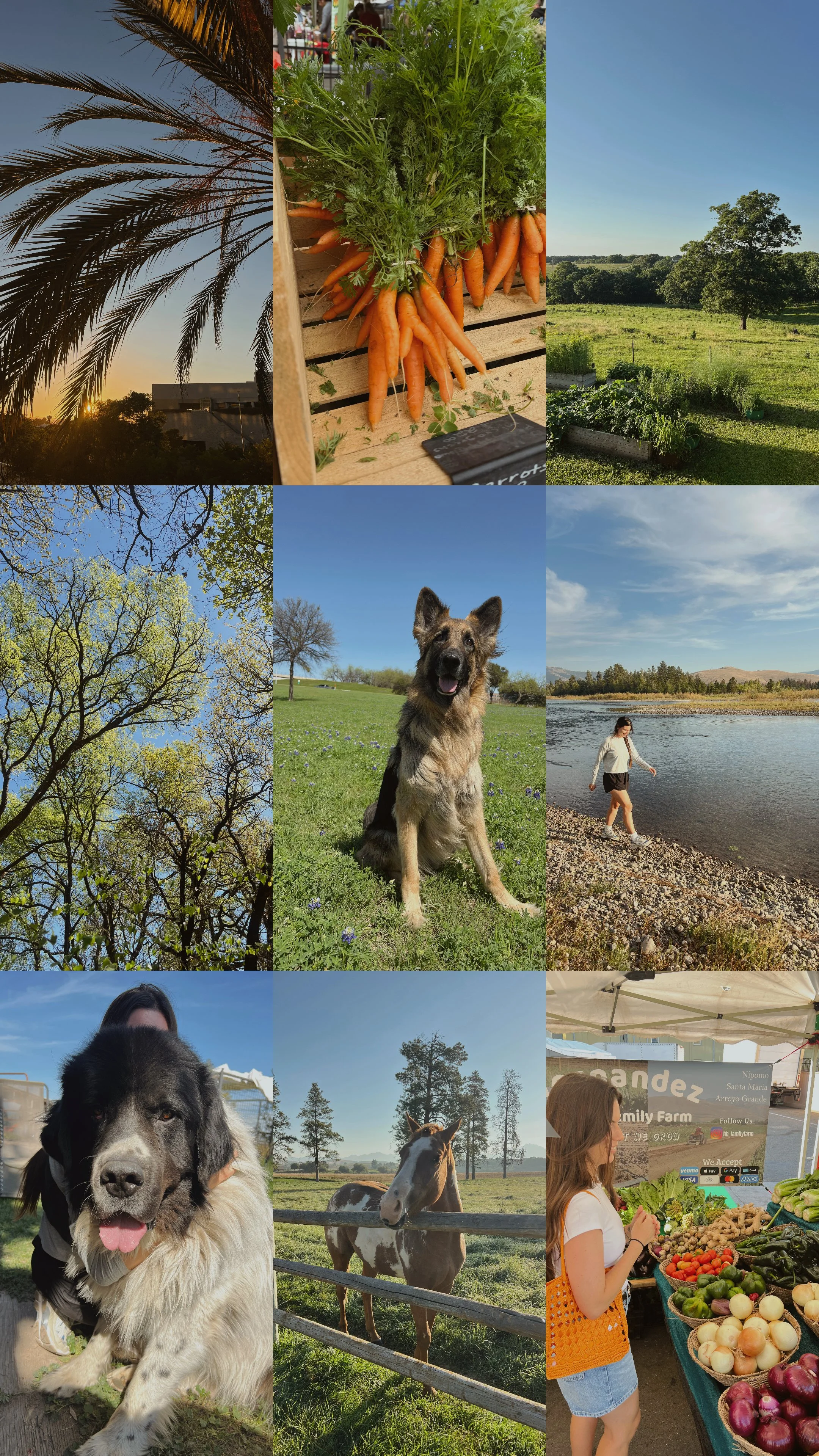 A collage of outdoor moments — farmers markets, fresh produce, nature, and grounding rituals for a nourished life.