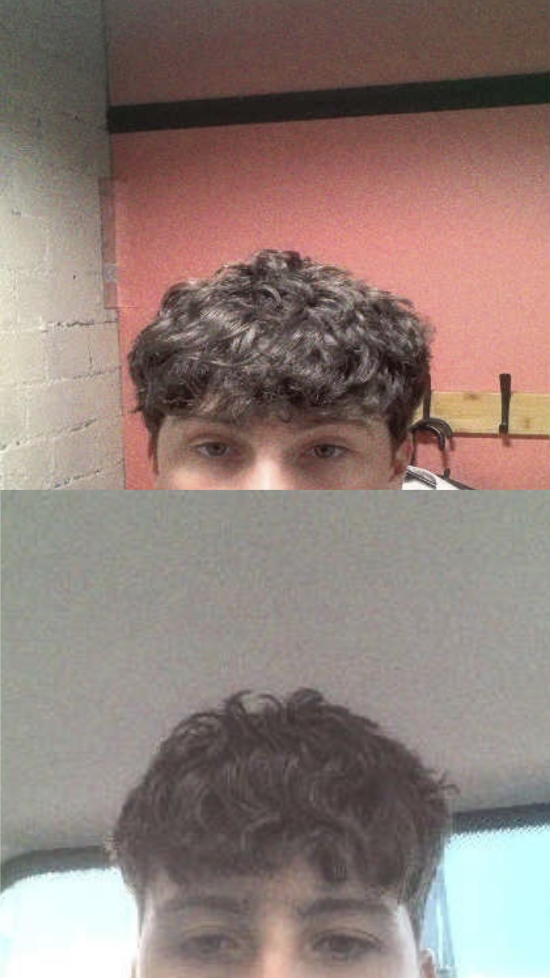 jensen dahl sydney music artist