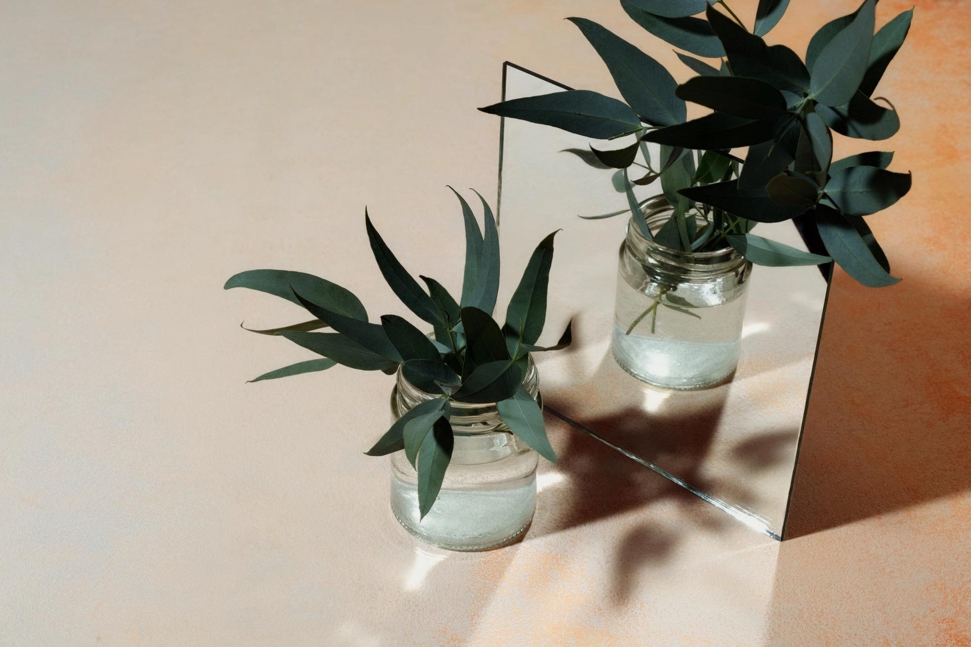 Two glass jars with green leafy branches, one jar reflected in a mirror, on a light-colored surface.