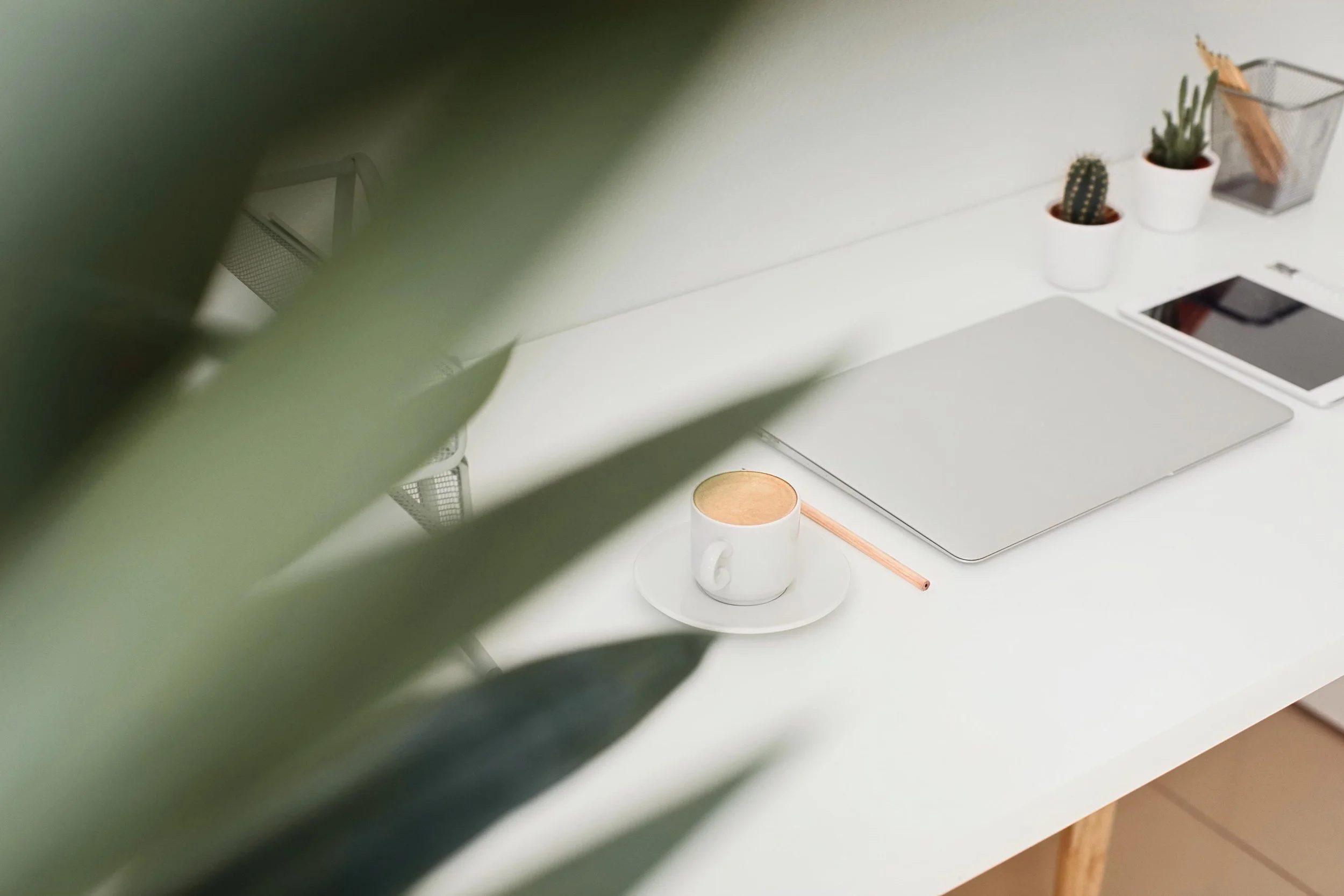 A white desk with a closed laptop, a tablet, a white cup of coffee on a saucer with a wooden stir stick, and three potted cacti plants in white pots and a metal container with wooden sticks, with green leaves partially blocking the view.