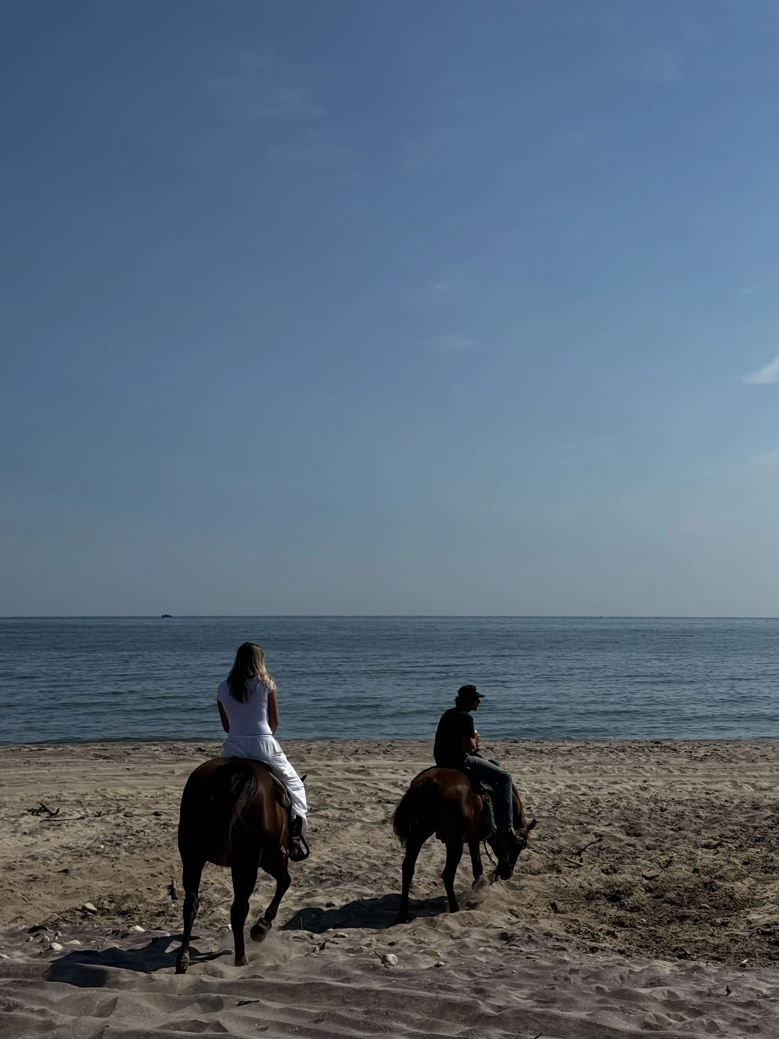 Horse friends, Montauk NY