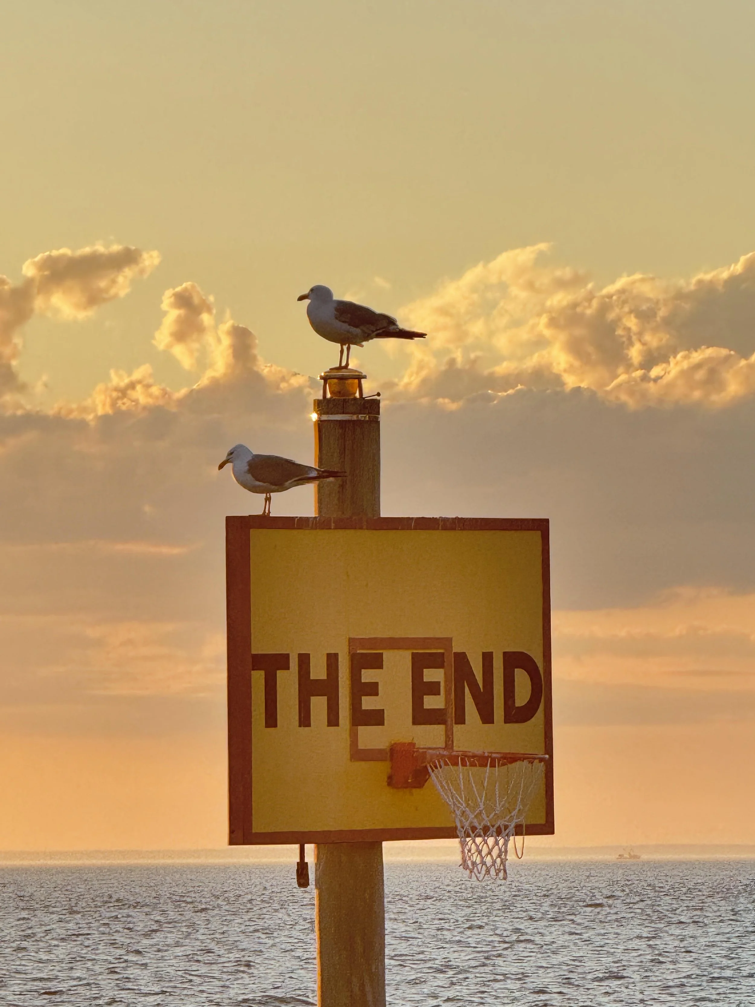 Two Birds One The End, Montauk NY