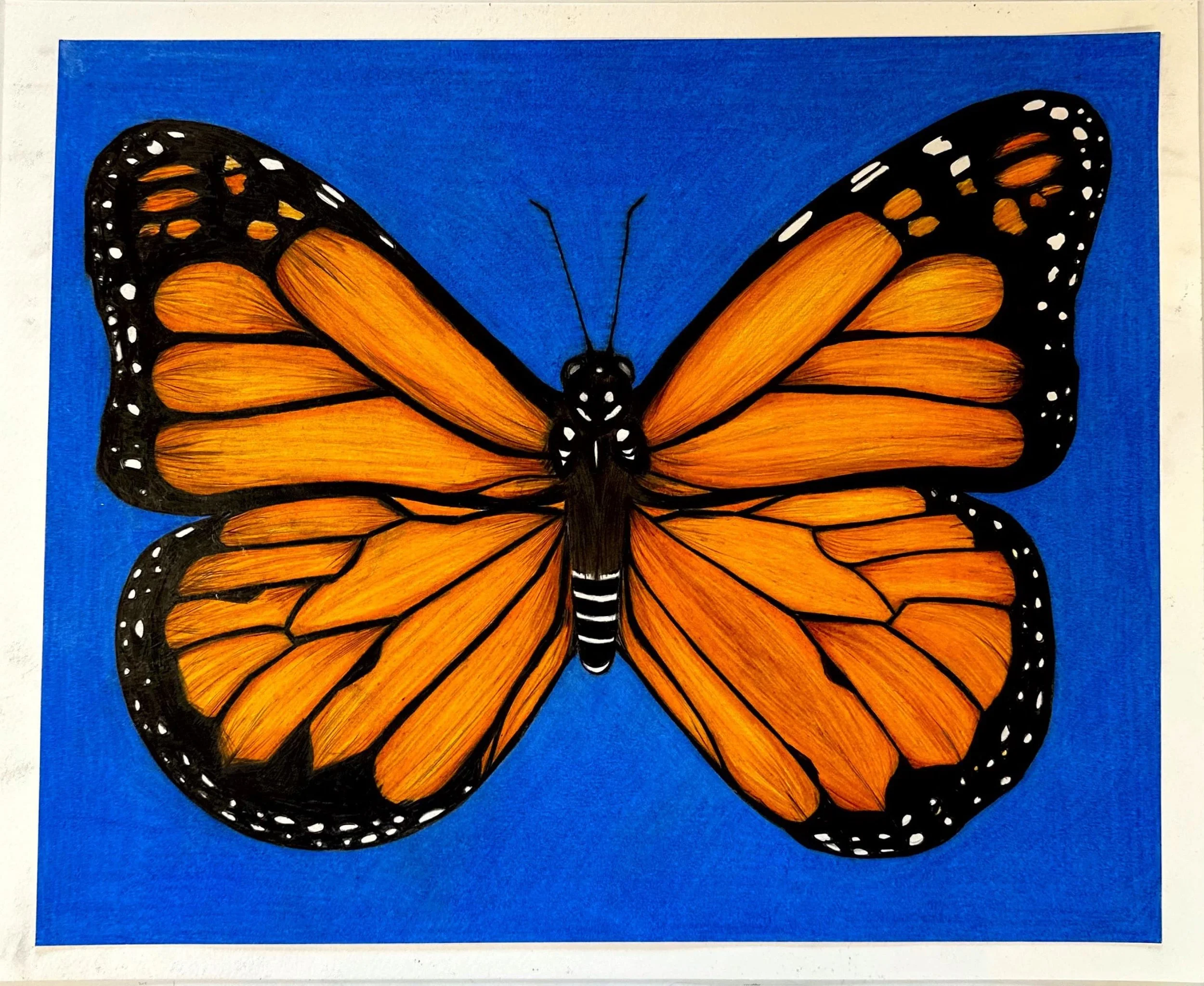 A detailed illustration of a monarch butterfly on blue background, with orange and black wings, white spots along the edges, and a black body with white markings.