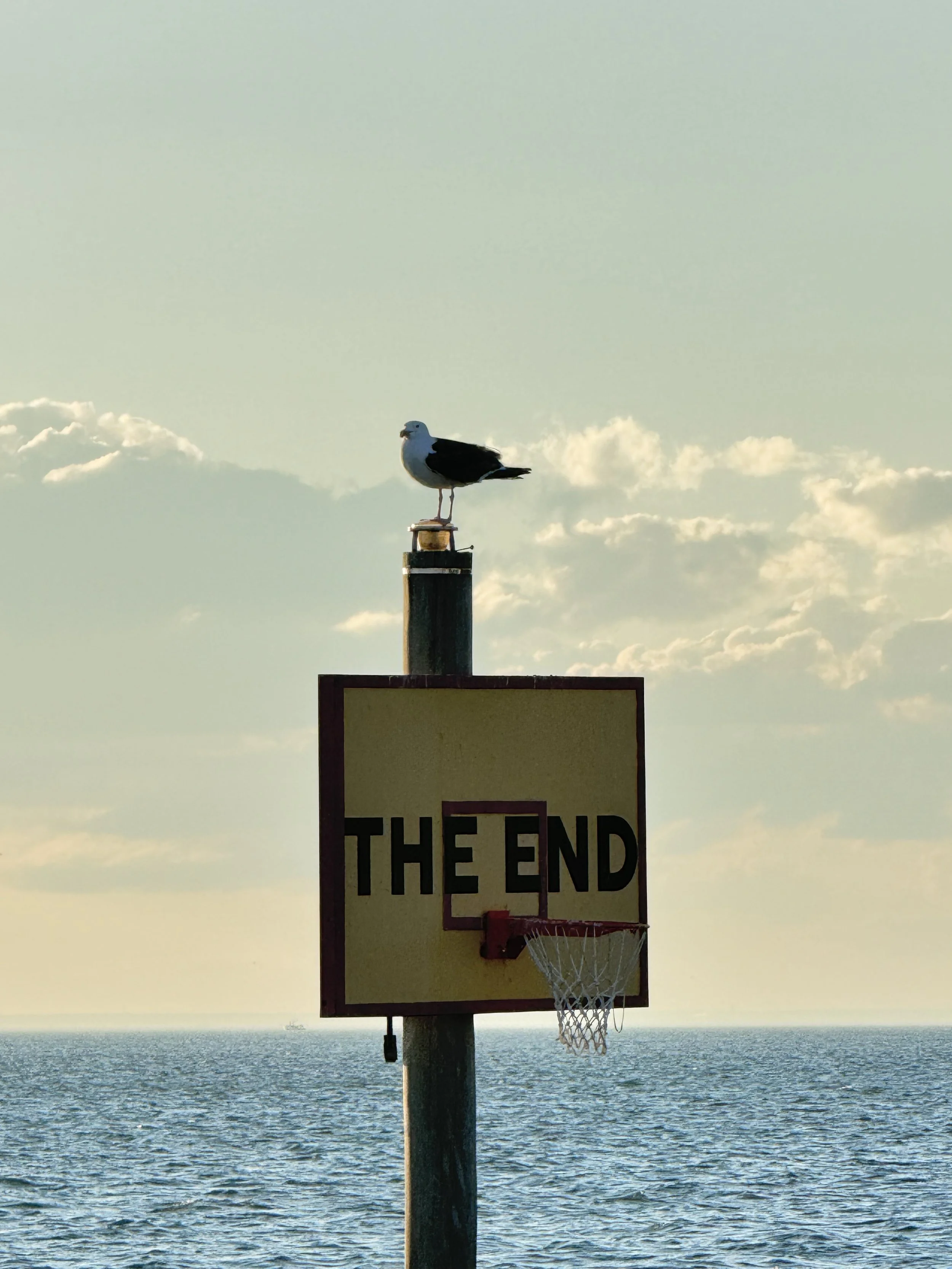One Bird One The End, Montauk NY