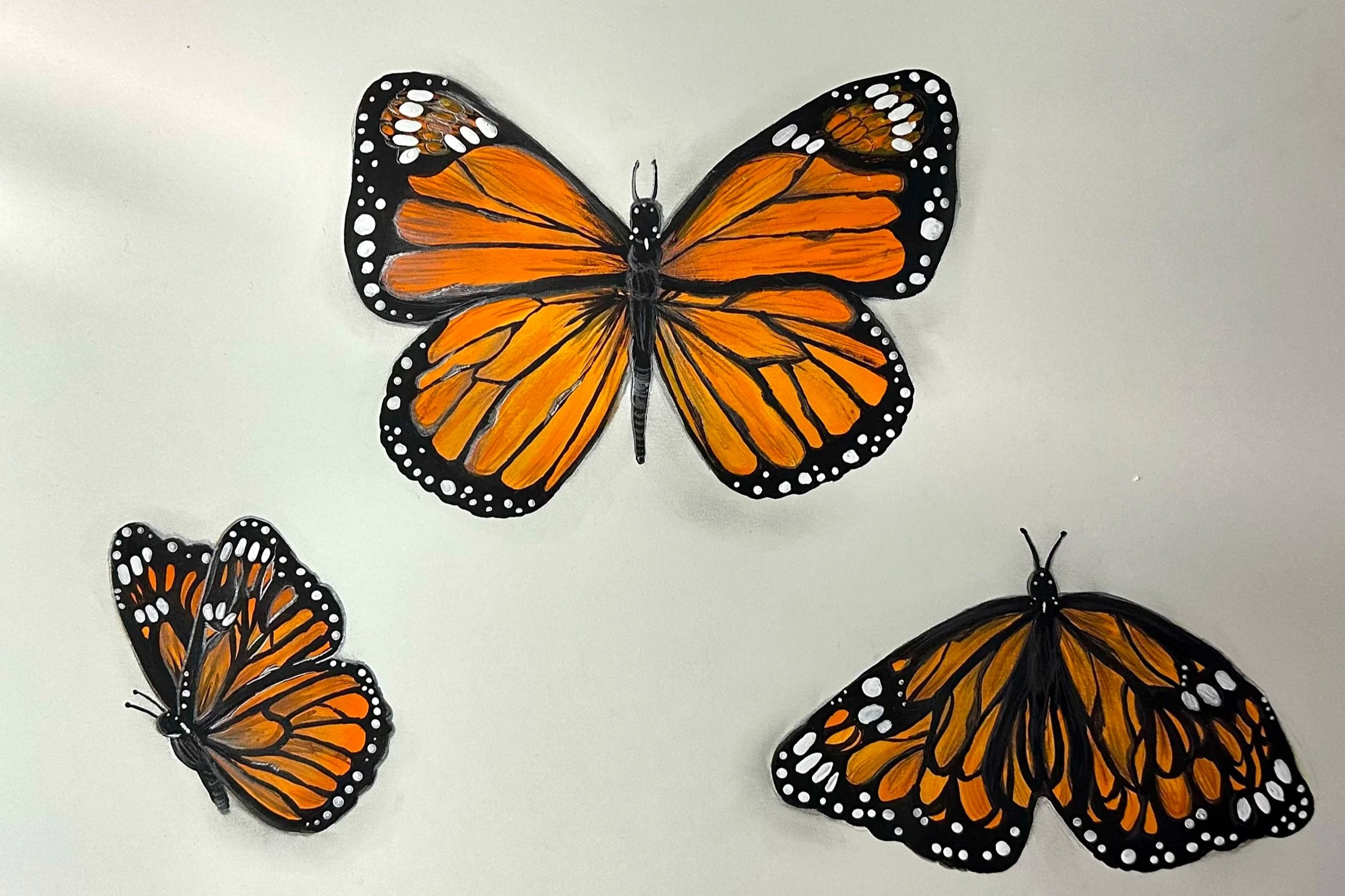 Multiple painted butterflies with detailed orange and black wings, and white spots along the edges, displayed on a white background.