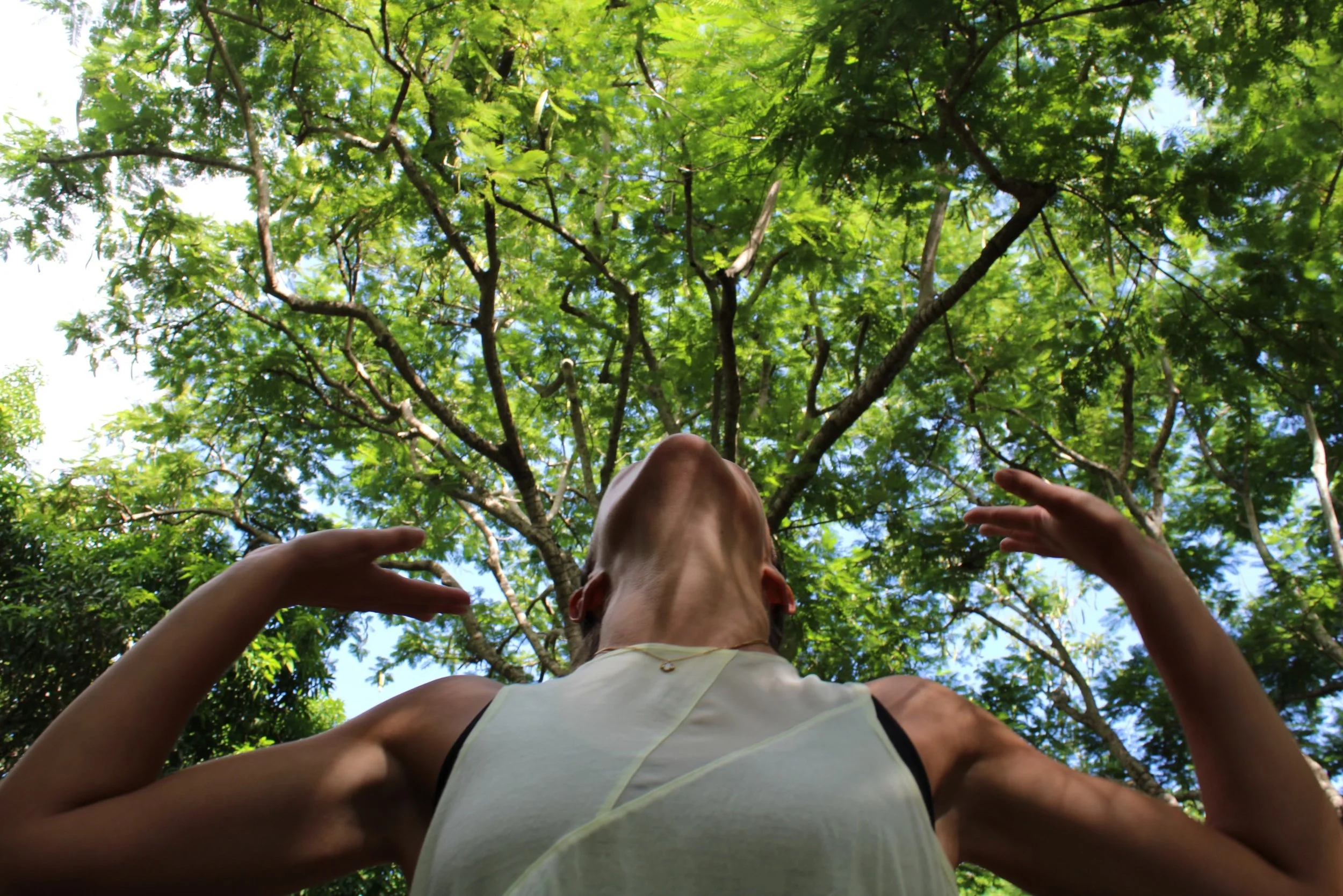 Breathe, Coconut Grove FL