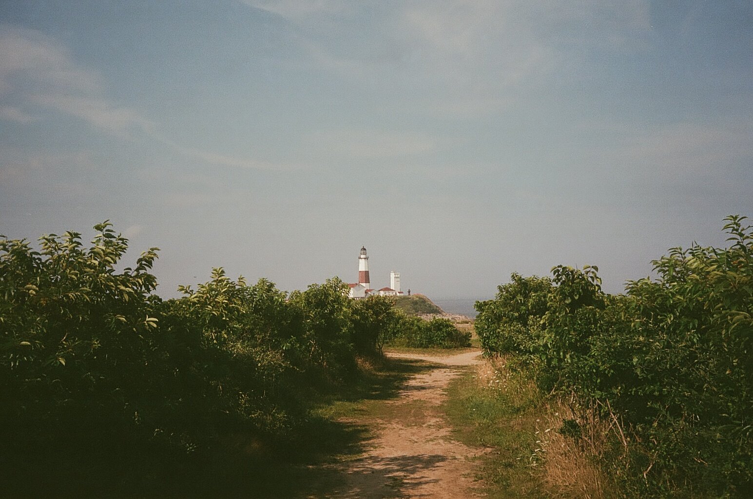 A Path to the Point, Montauk NY