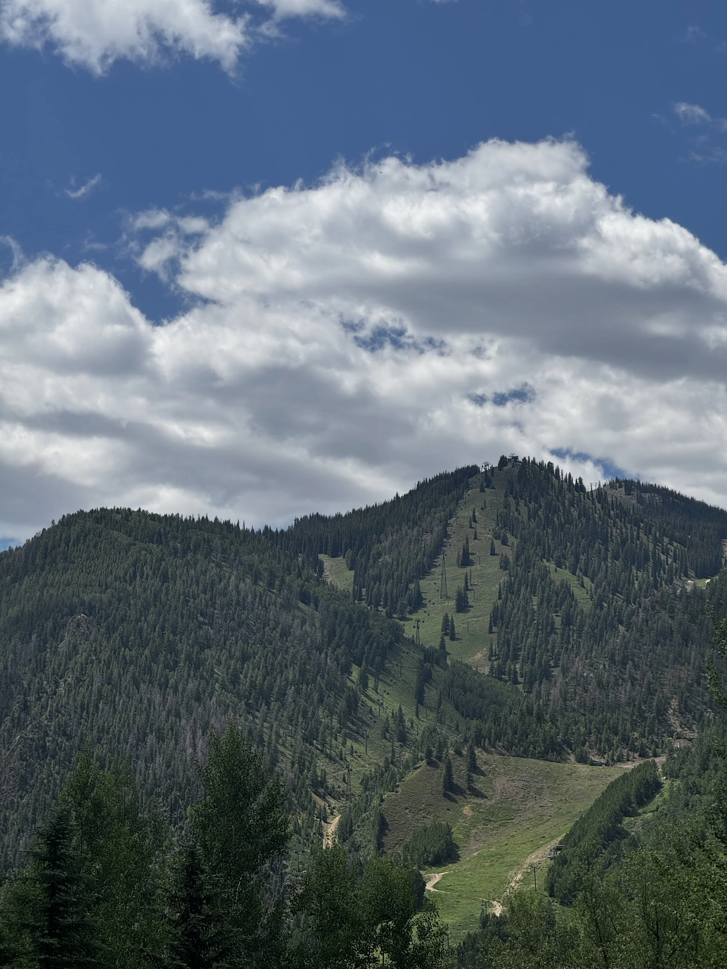Snowless Ski, Aspen CO