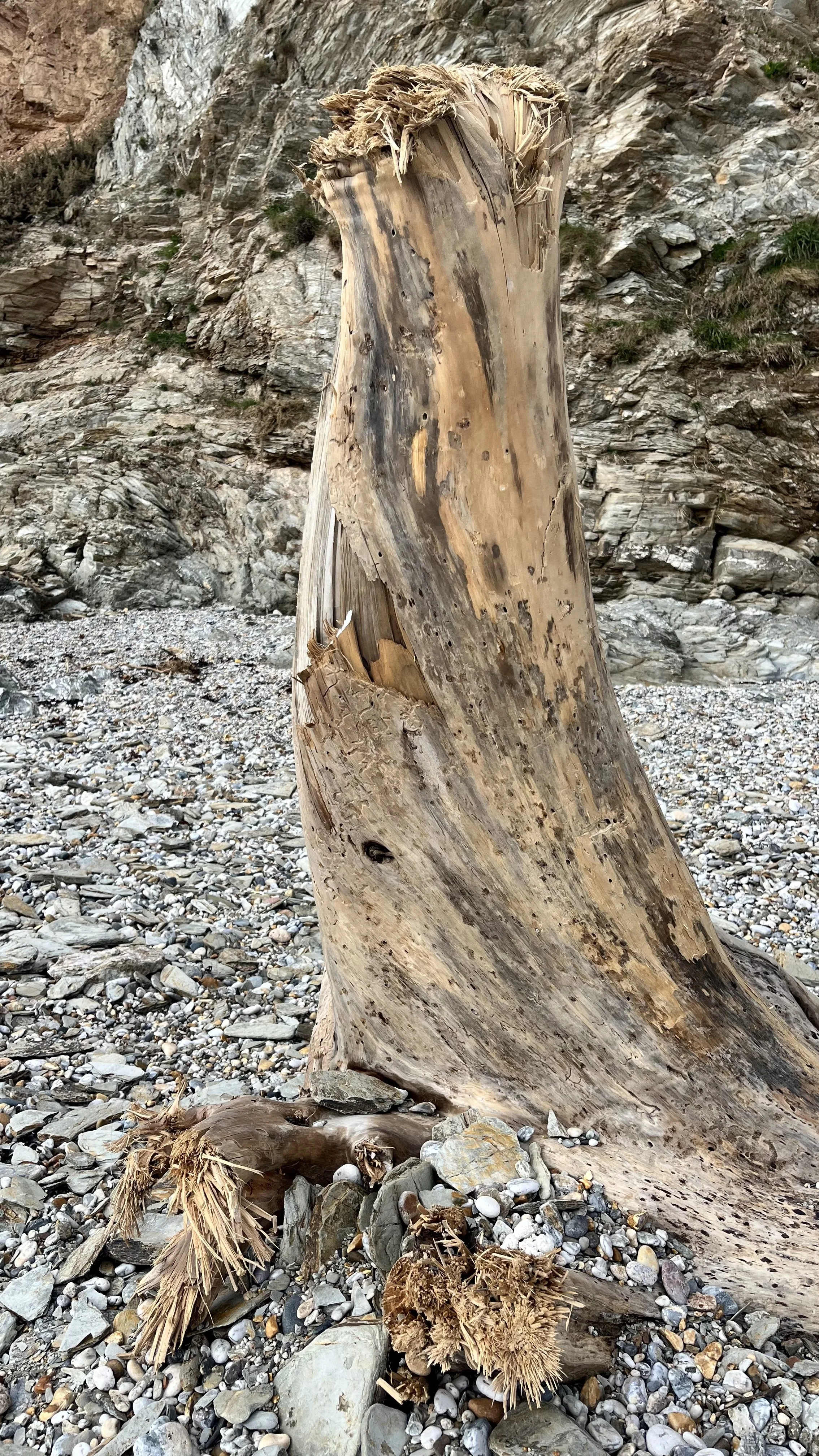 A large, weathered piece of driftwood on a rocky beach with a rocky cliff in the background.