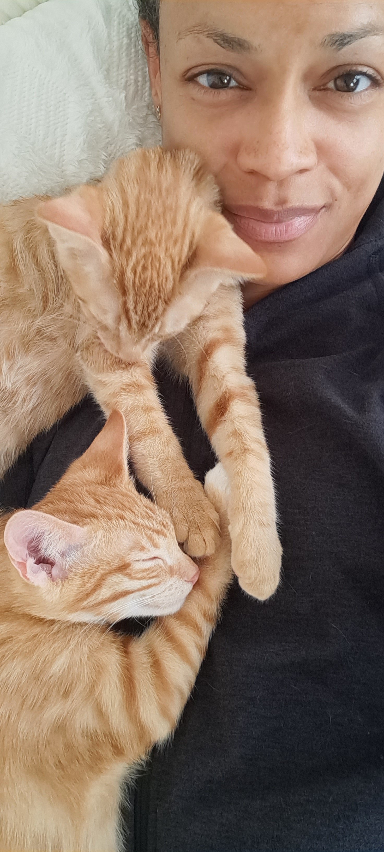 Two orange cats resting peacefully during a quiet self-care moment