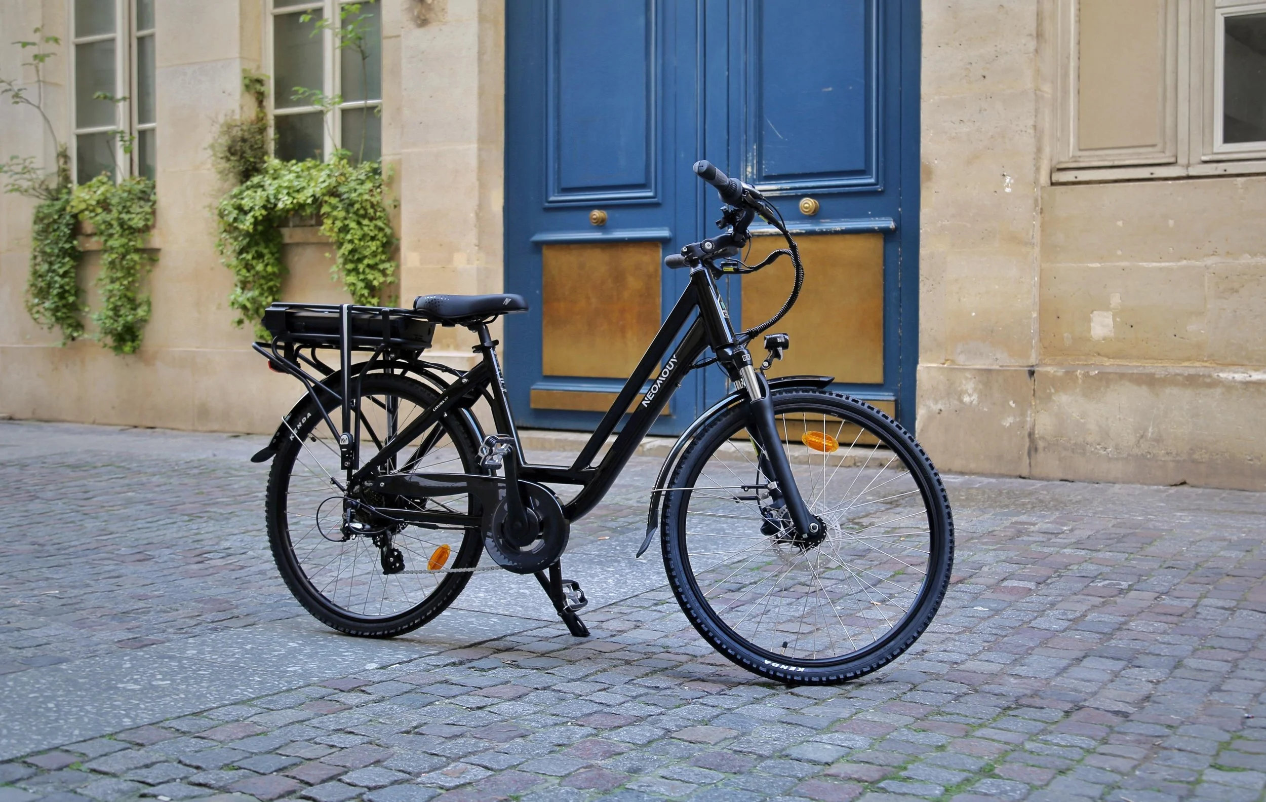 Vélo électrique noir garé sur une rue pavée devant une porte bleue et un mur en pierre, avec des plantes vertes en pot.