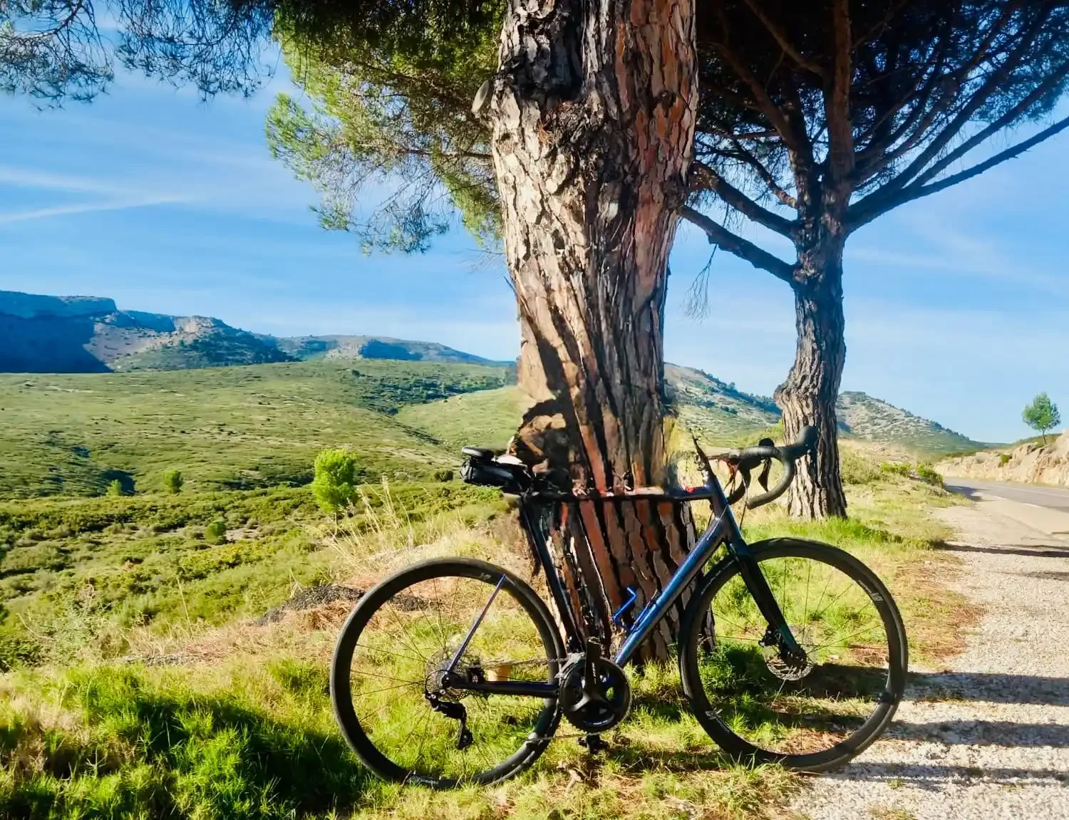 Vélo noir appuyé contre un arbre, paysage de collines verdoyantes, ciel bleu.